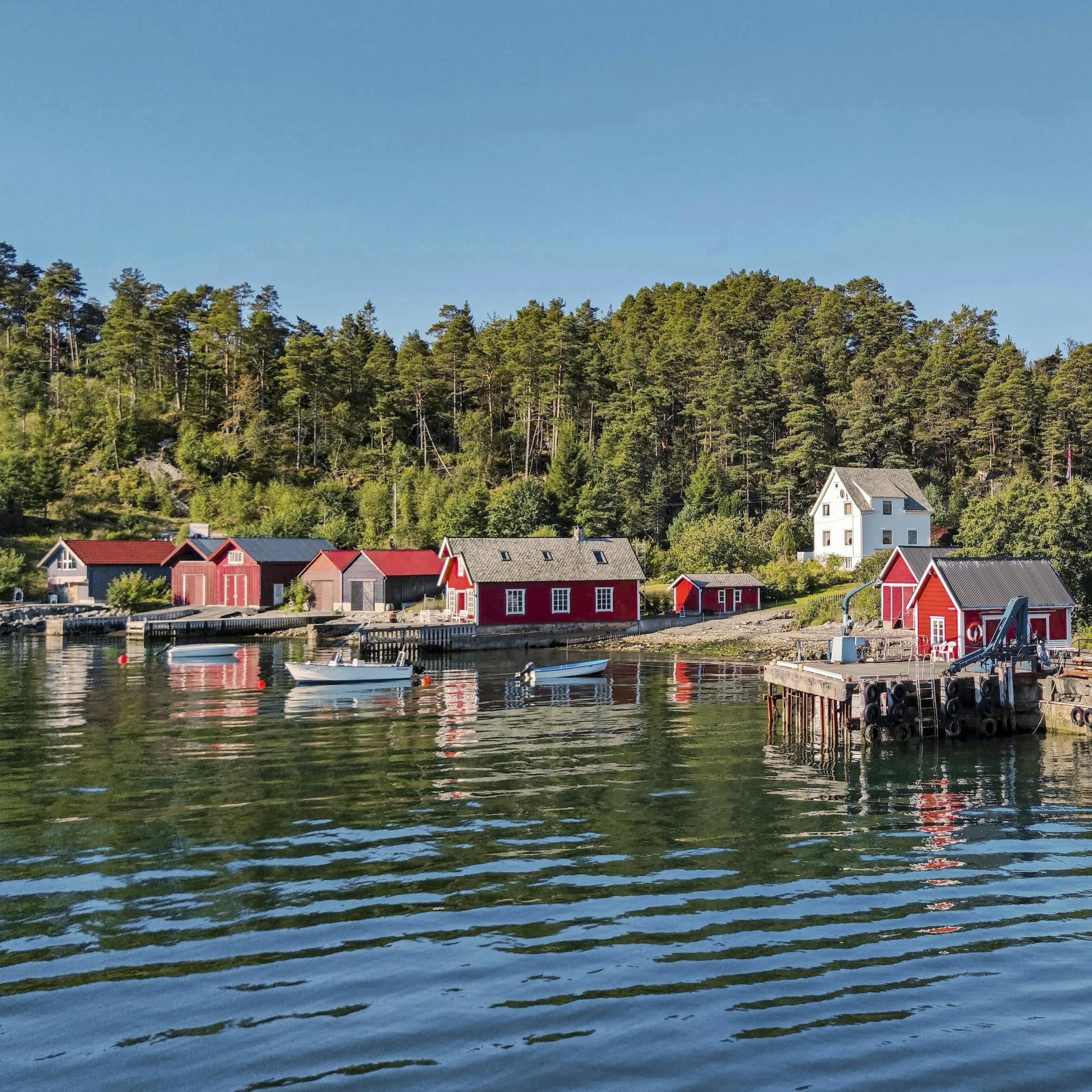 Det er et smukt syn at vandre ved Hardanger fjord om sommeren.