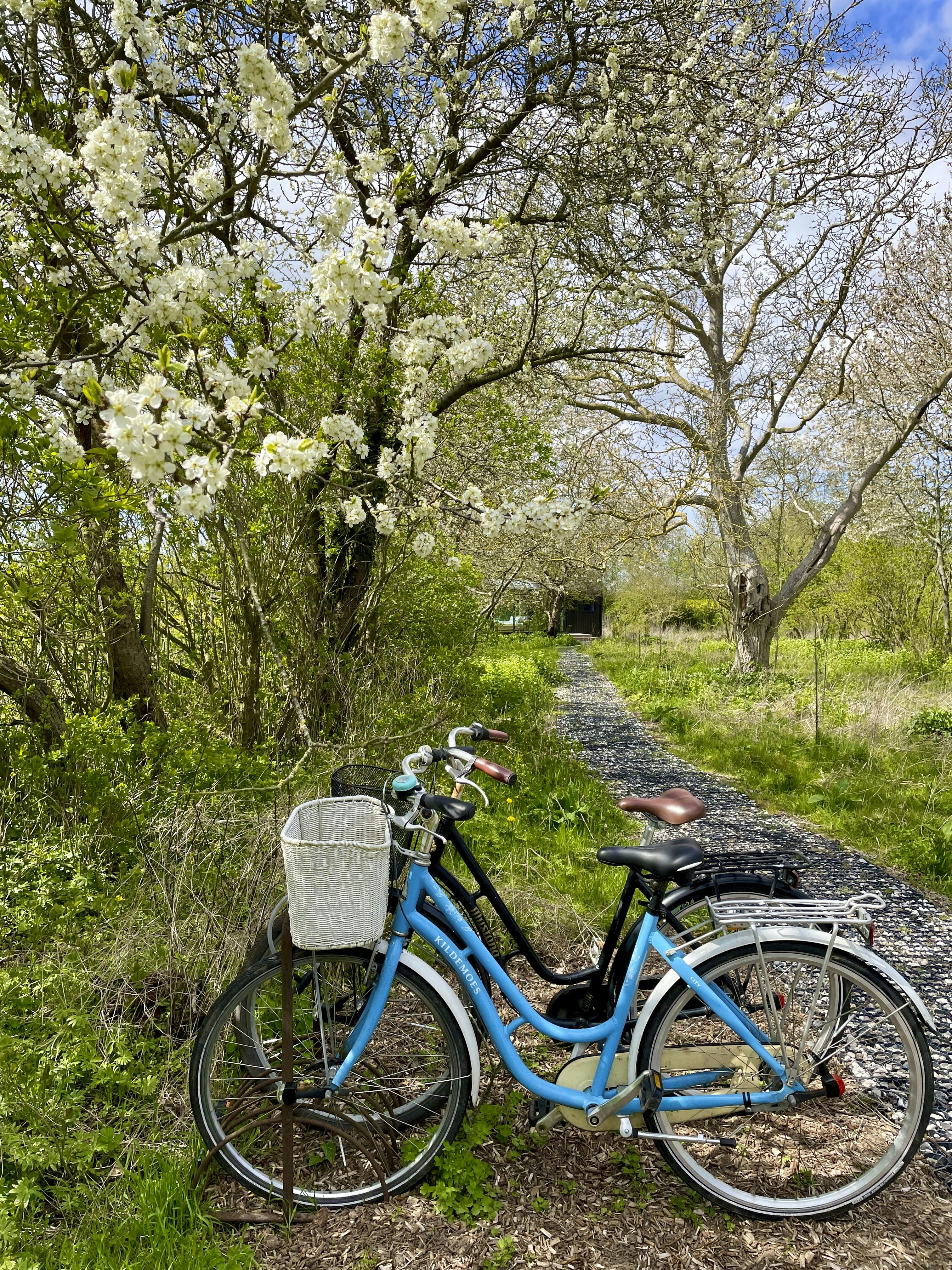 Glashytterne har fine ”vintage”-­cykler til fri afbenyttelse inkluderet i bookingen.
