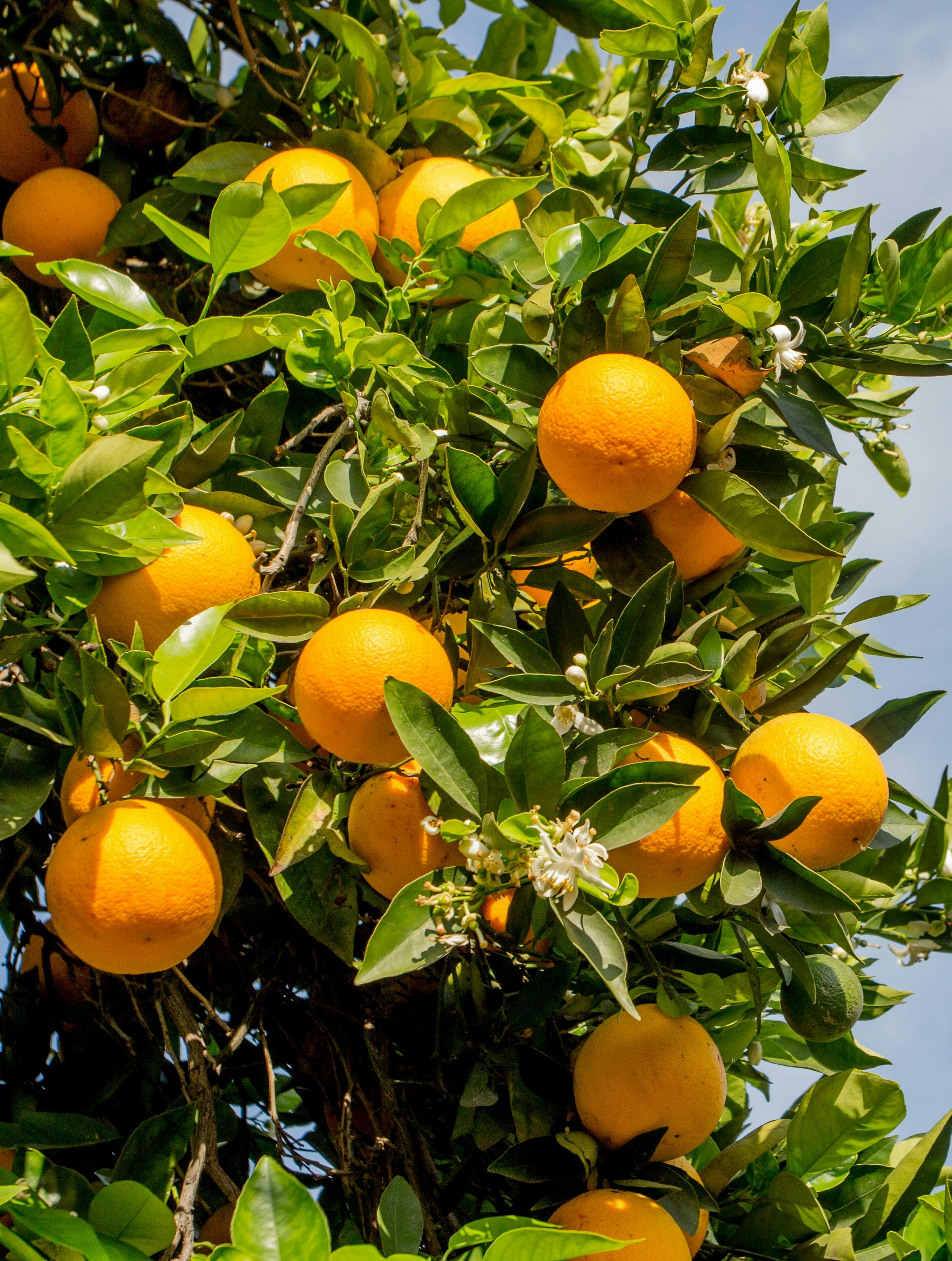 Velkommen til årets sommerkrimi, der er lige til at tage med ud i liggestolen.