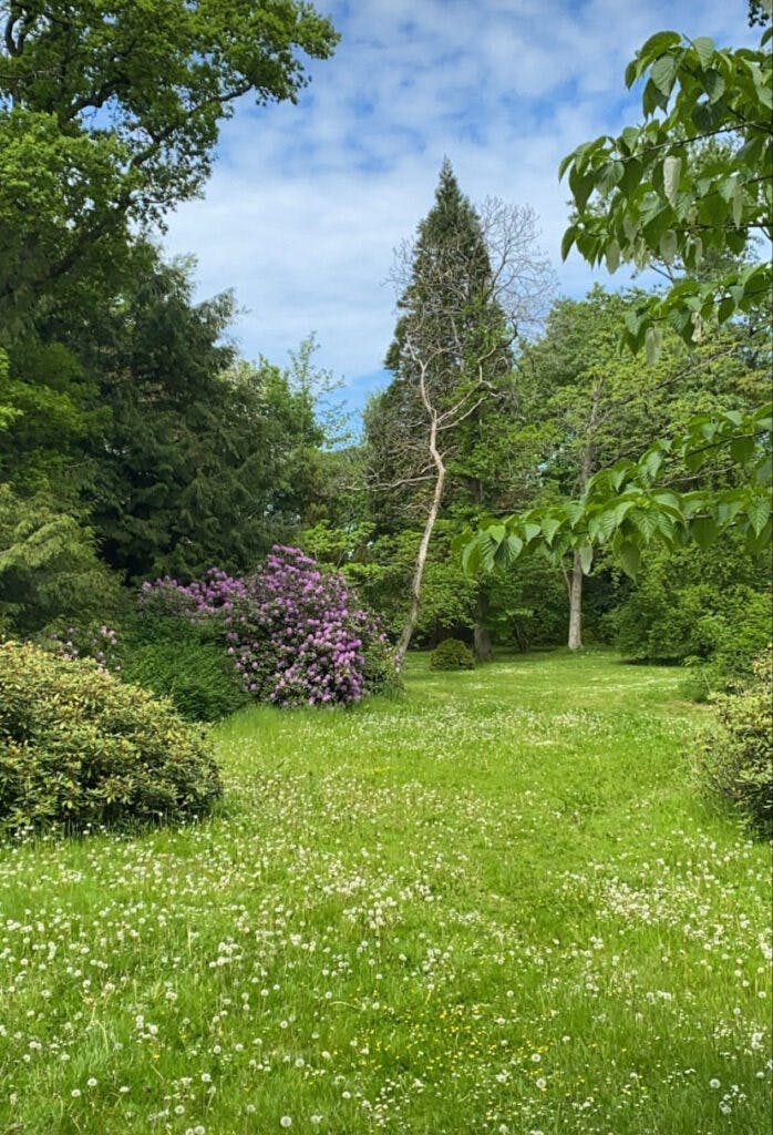 Forstbotanisk Have.