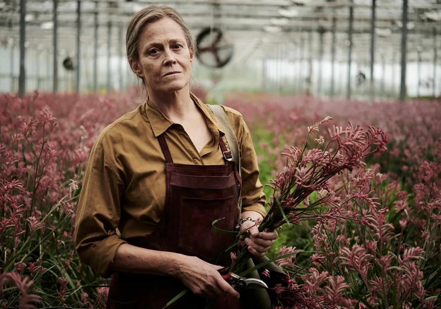 https://imgix.femina.dk/2025-09-05/lostflowers.jpeg