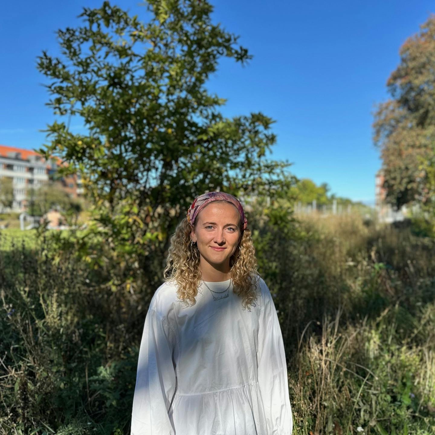 værdsættelse af gode kollegaer