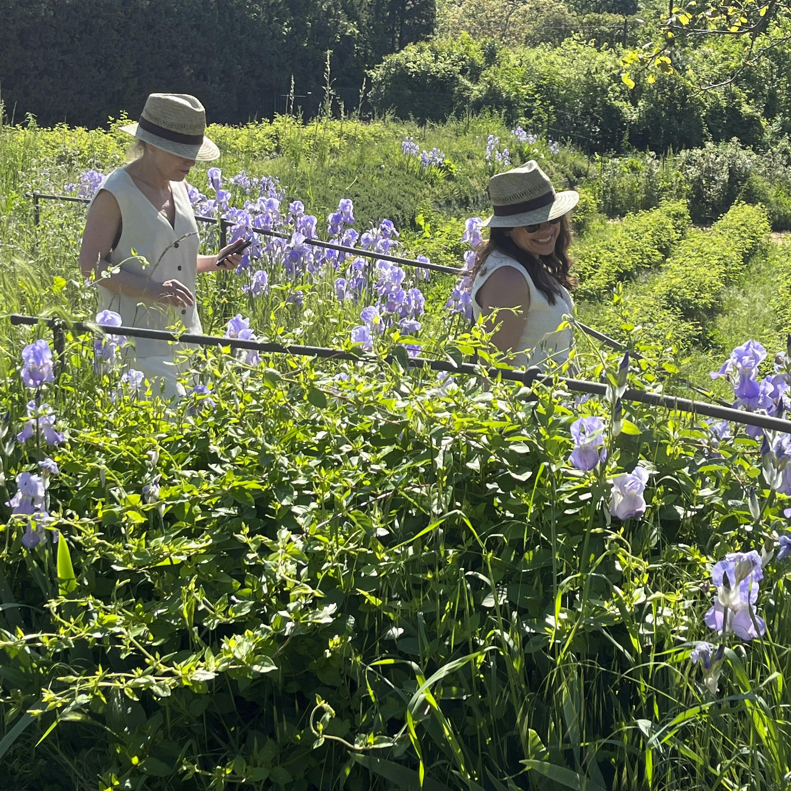 På besøg i parfumørens have