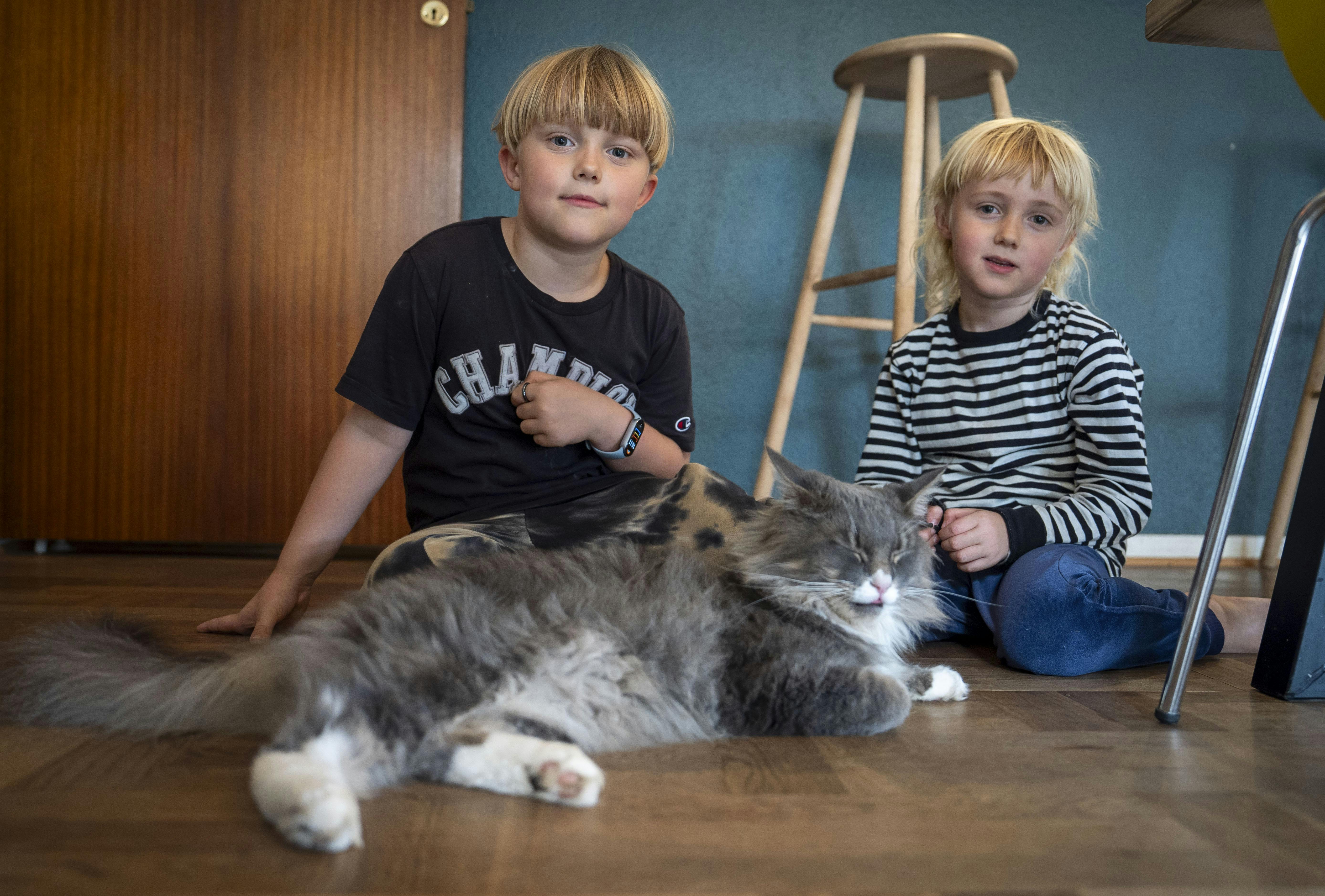 Sanne og Marc kæmper for ægteskabet efter Sannes hjerneskadeDato: 11.9.2025Sted: SilkeborgJournalist: Aviaya Valdivia HansenFoto: Copyright : Martin Høien/Aller Media Danmark