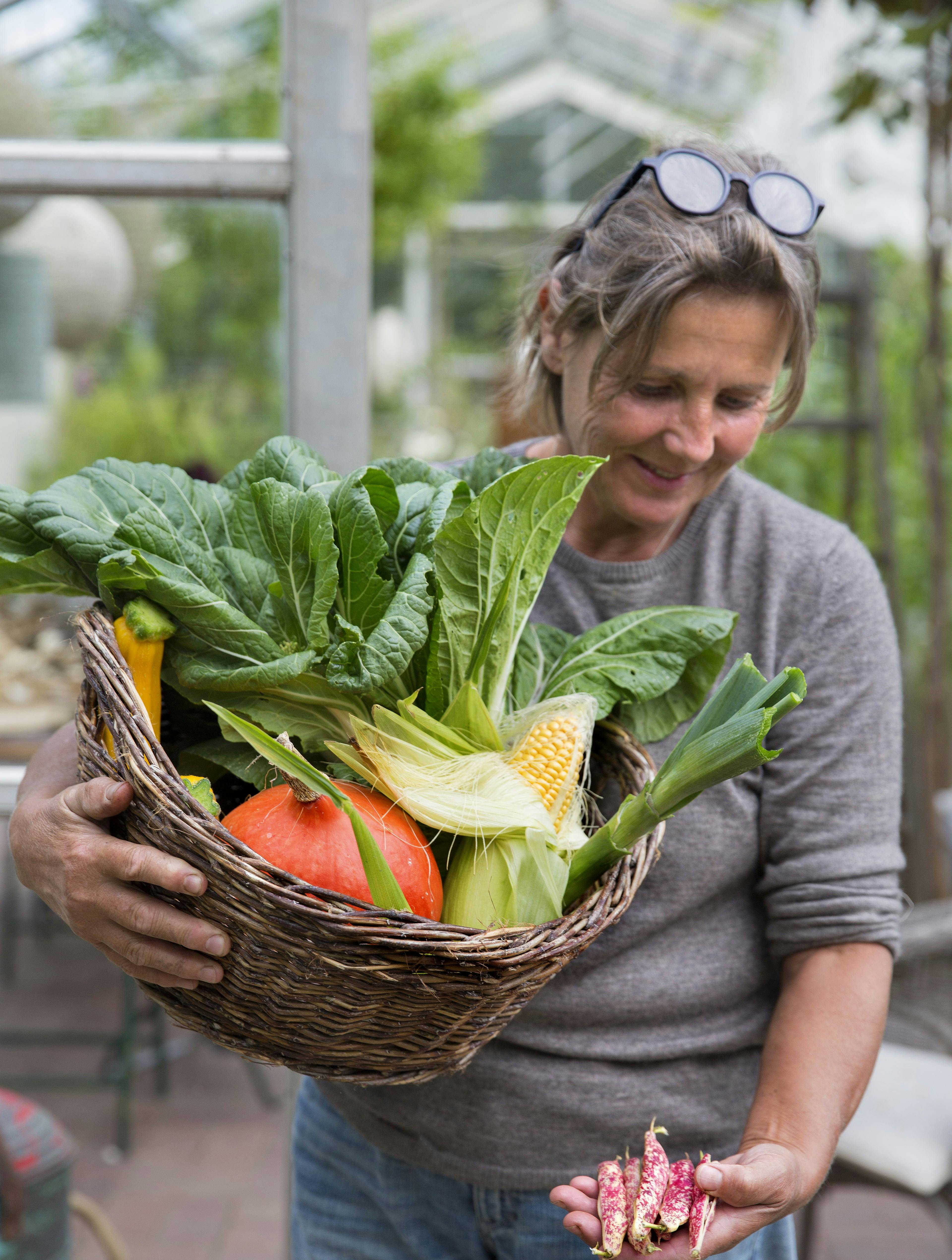 September besøg hos kunstner Lotte Buur på Samsø i hendes bi venlige have