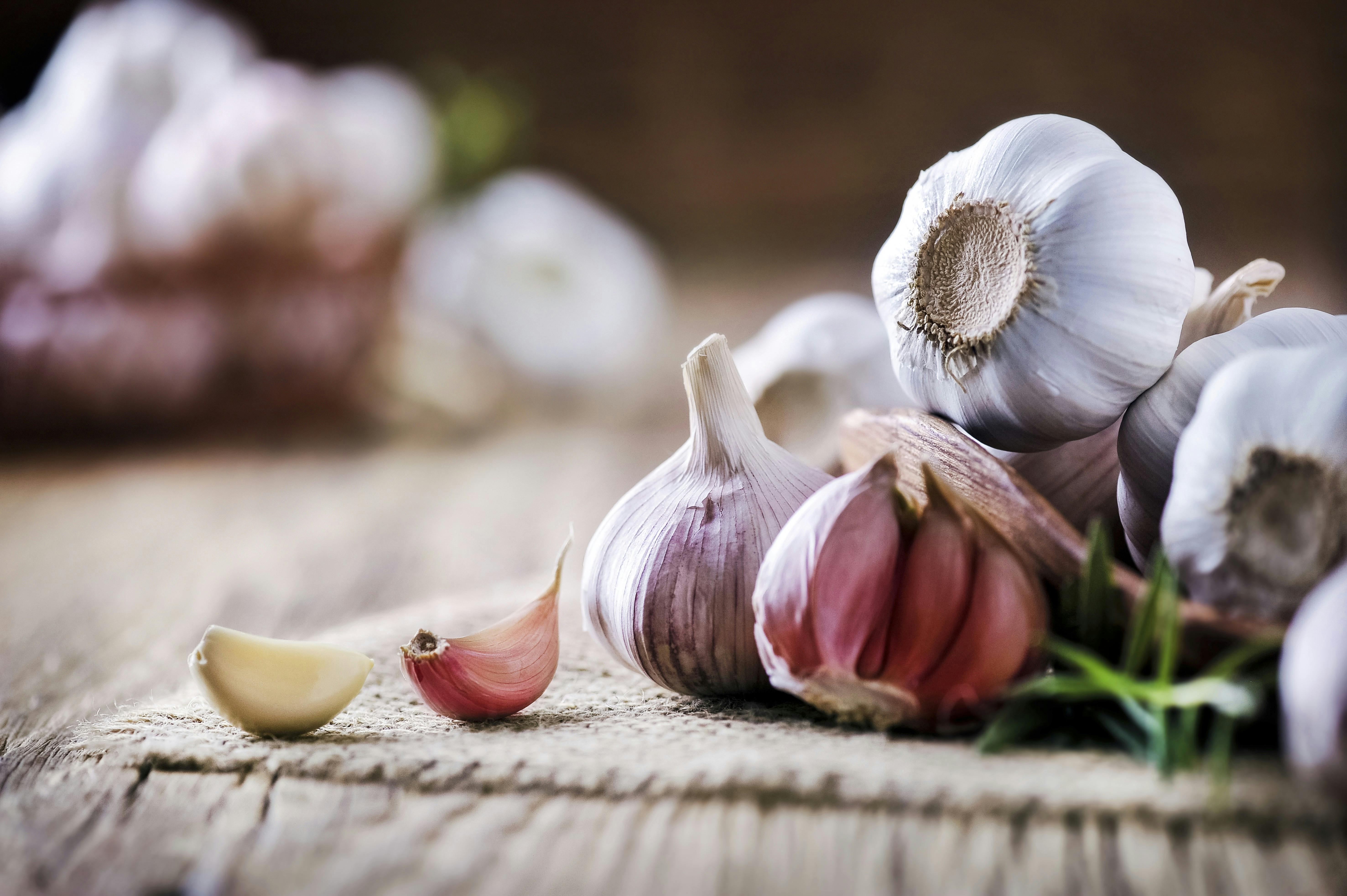 Garlic cloves on rustic table in wooden bowl. Fresh peeled garlics and  bulbs.