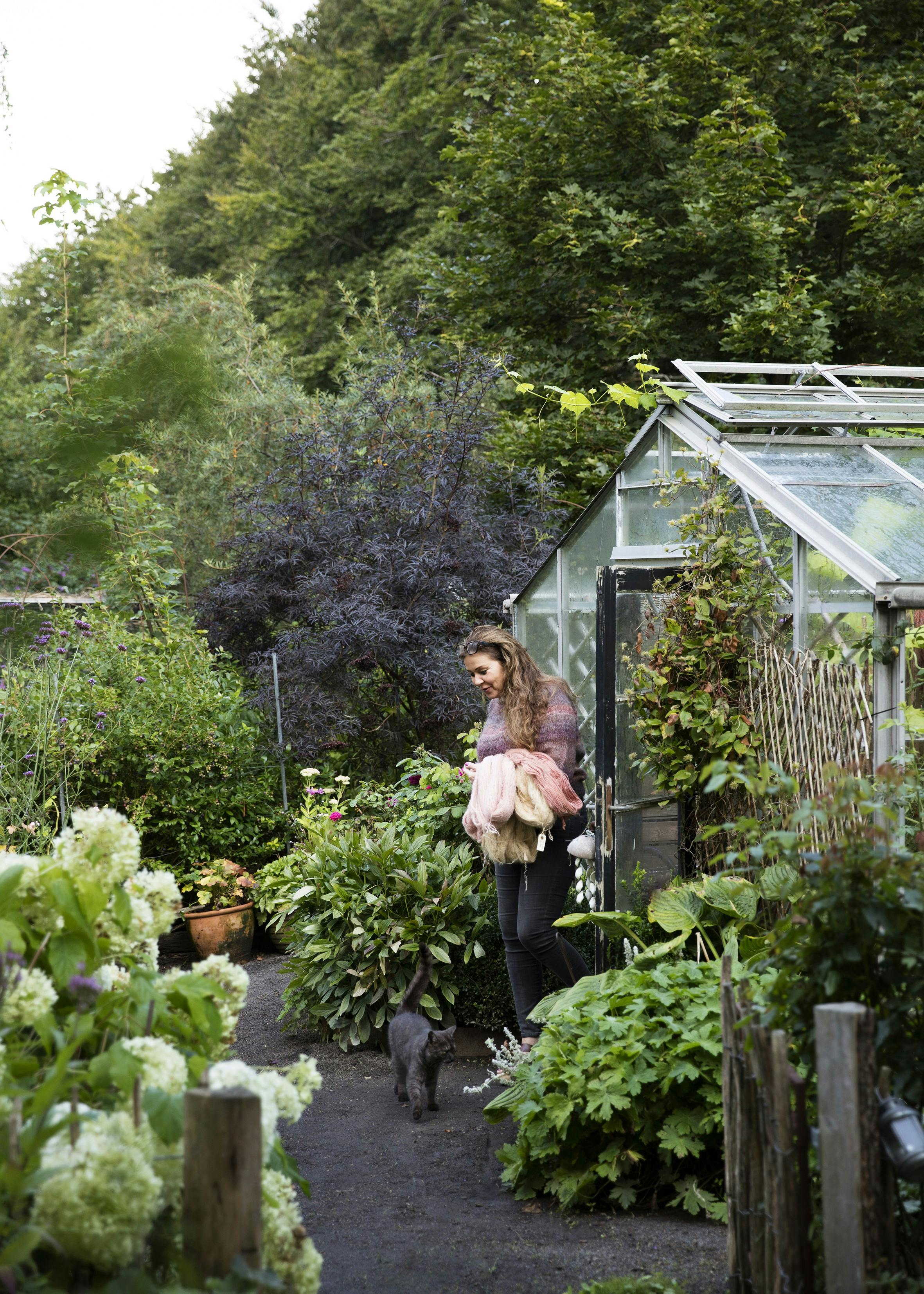 Farv garn med naturlige farver fra haven