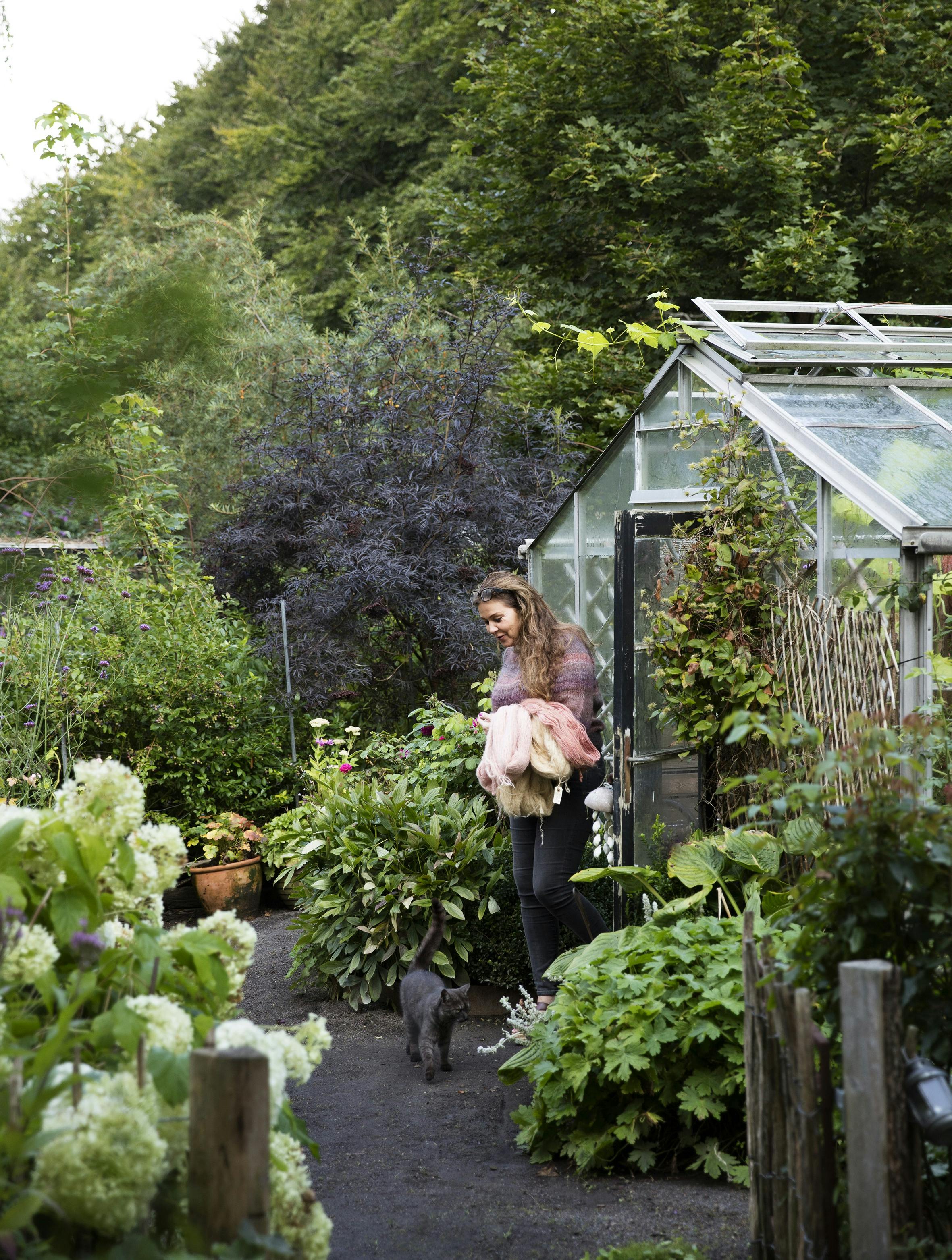 Farv garn med naturlige farver fra haven