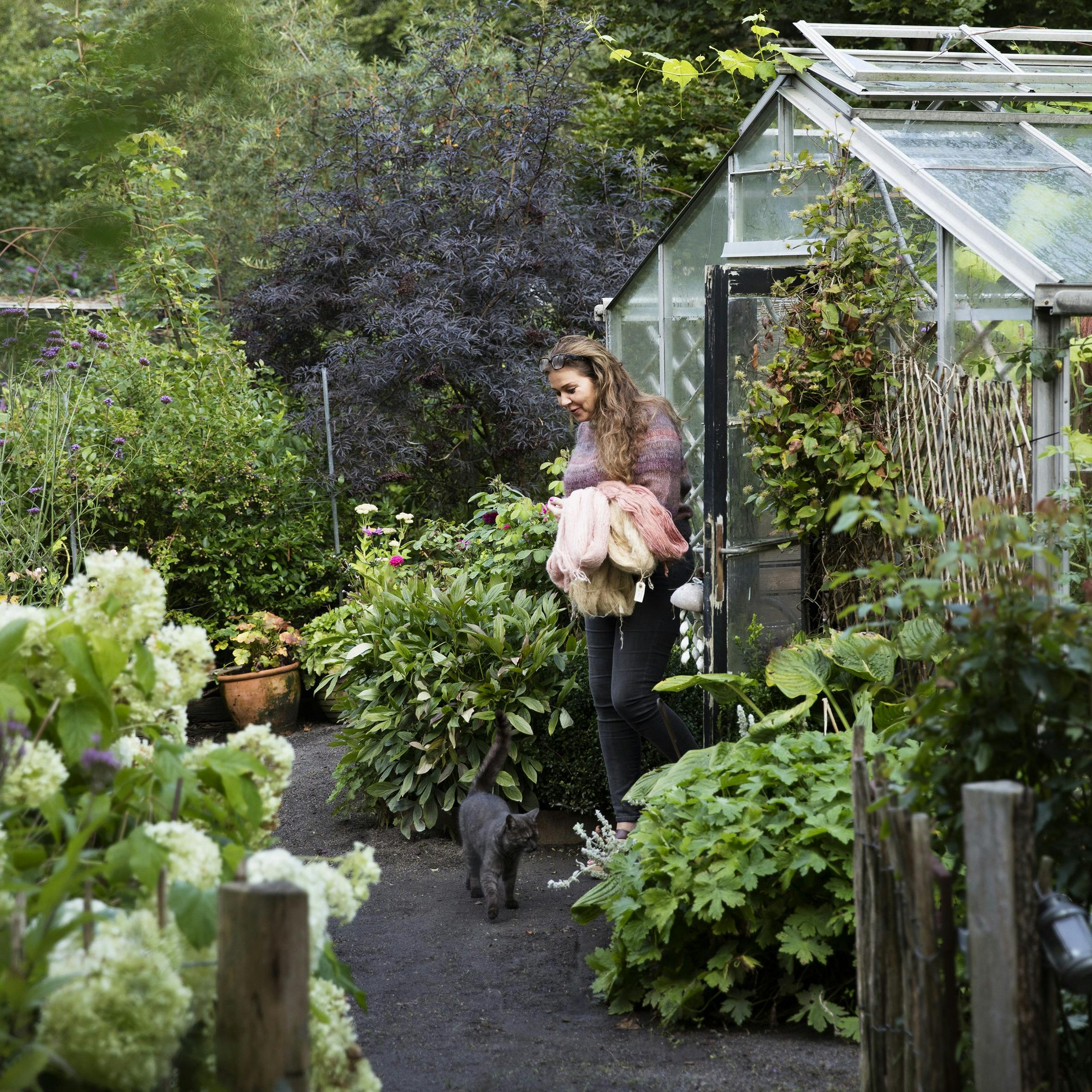 Farv garn med naturlige farver fra haven