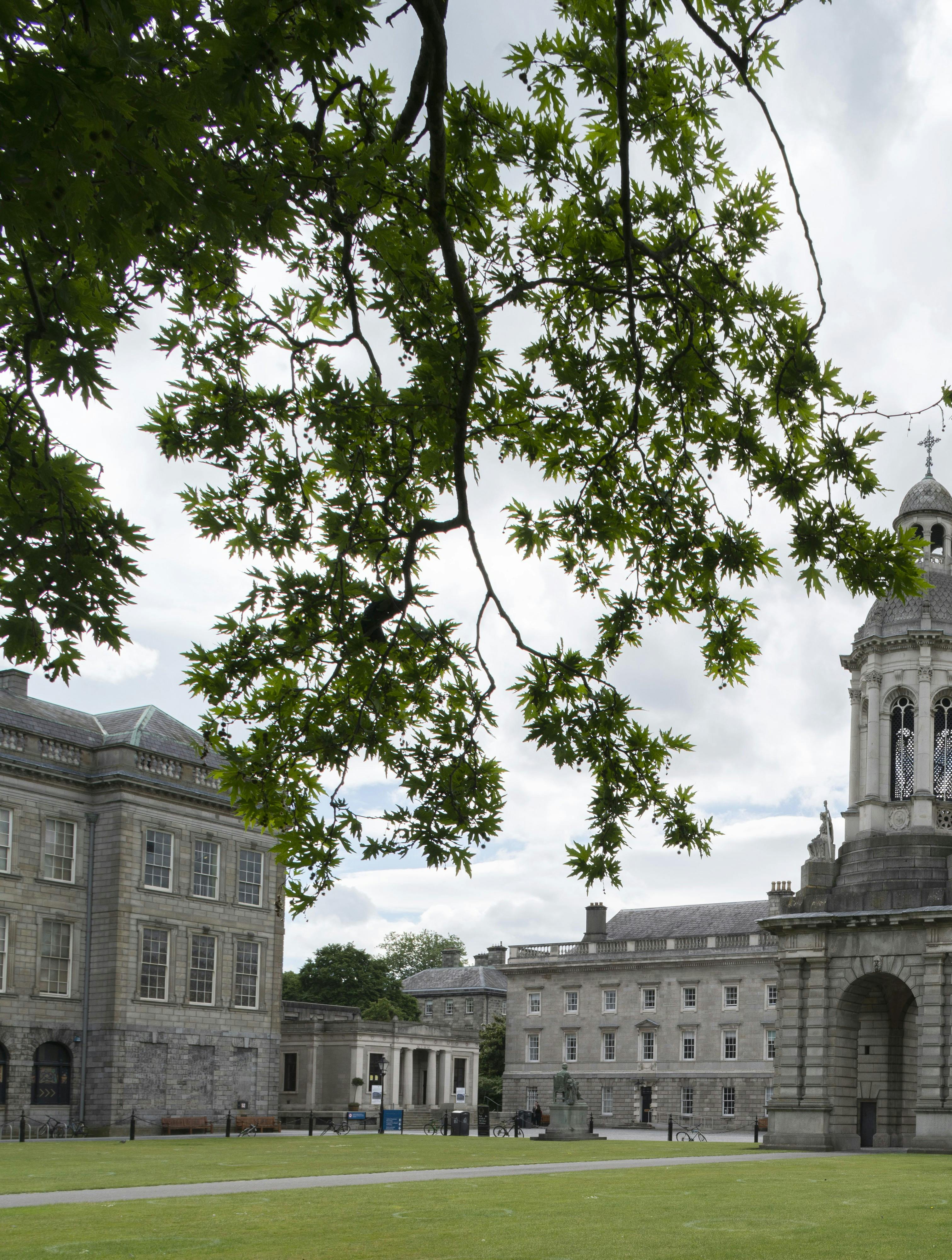 resjeguide: Irland, i sporet på Wednesday