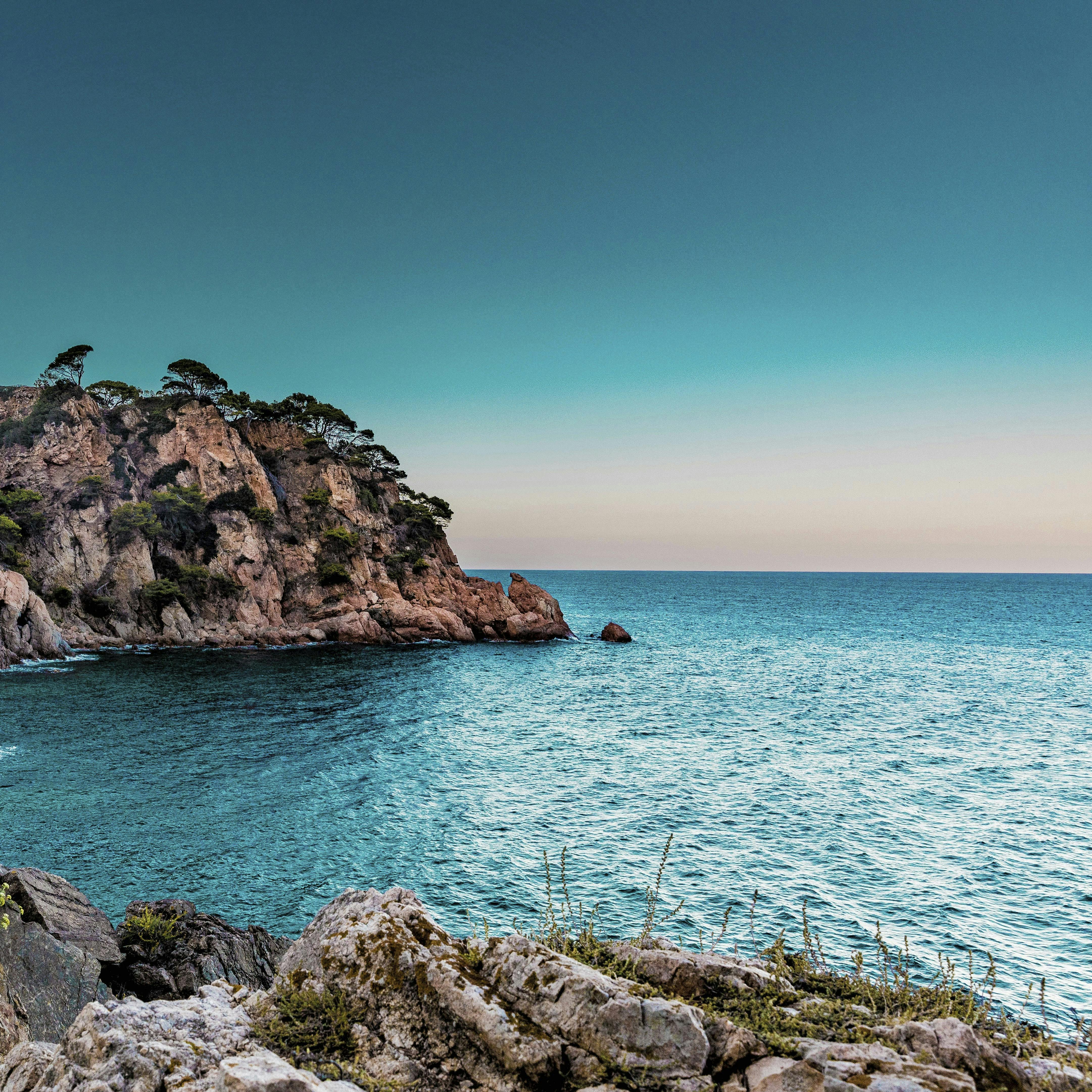 Rejseguide: Marbelle