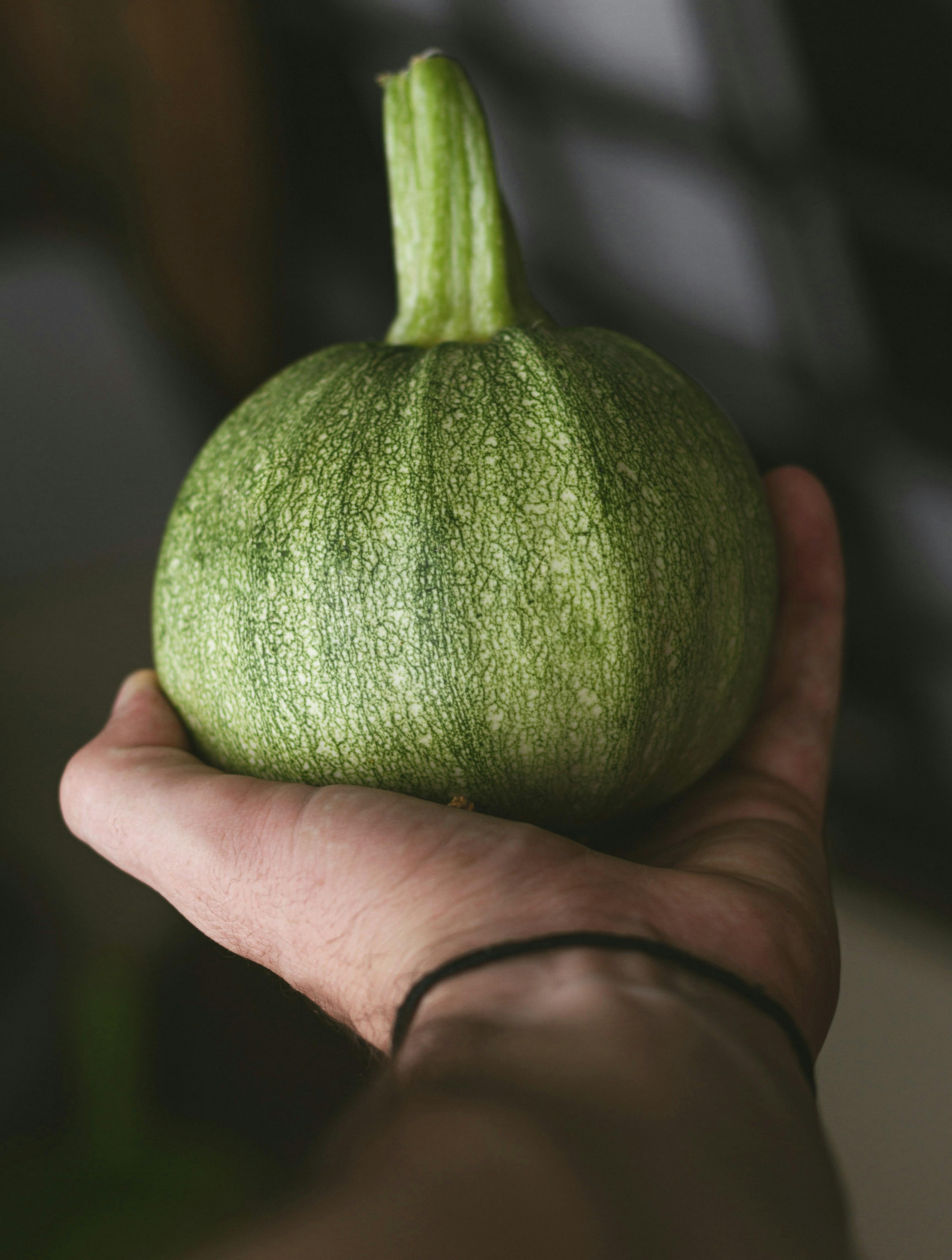 Squash, zucchini eller courgette