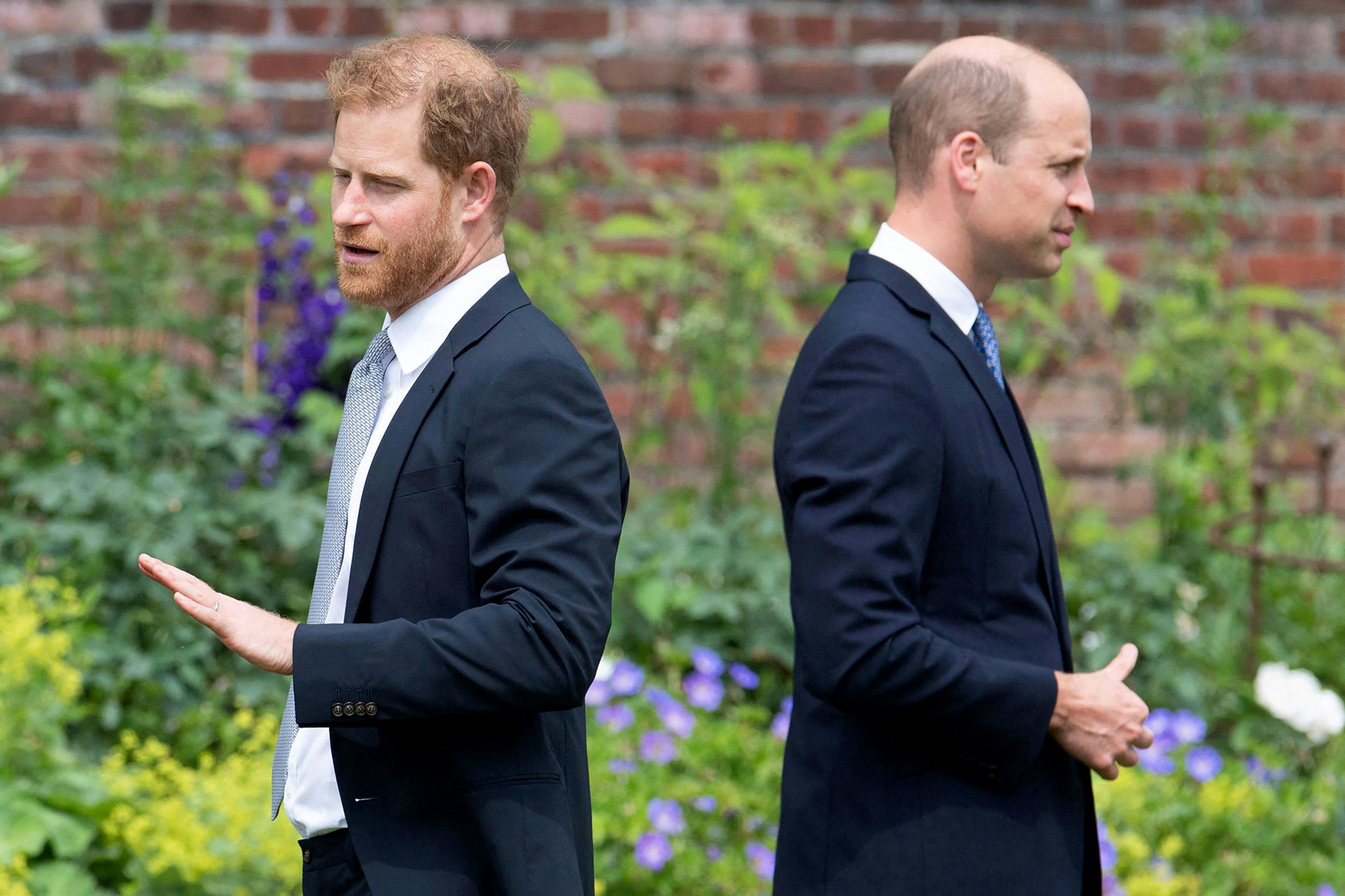 'William og Harry i kærlighed og had.'