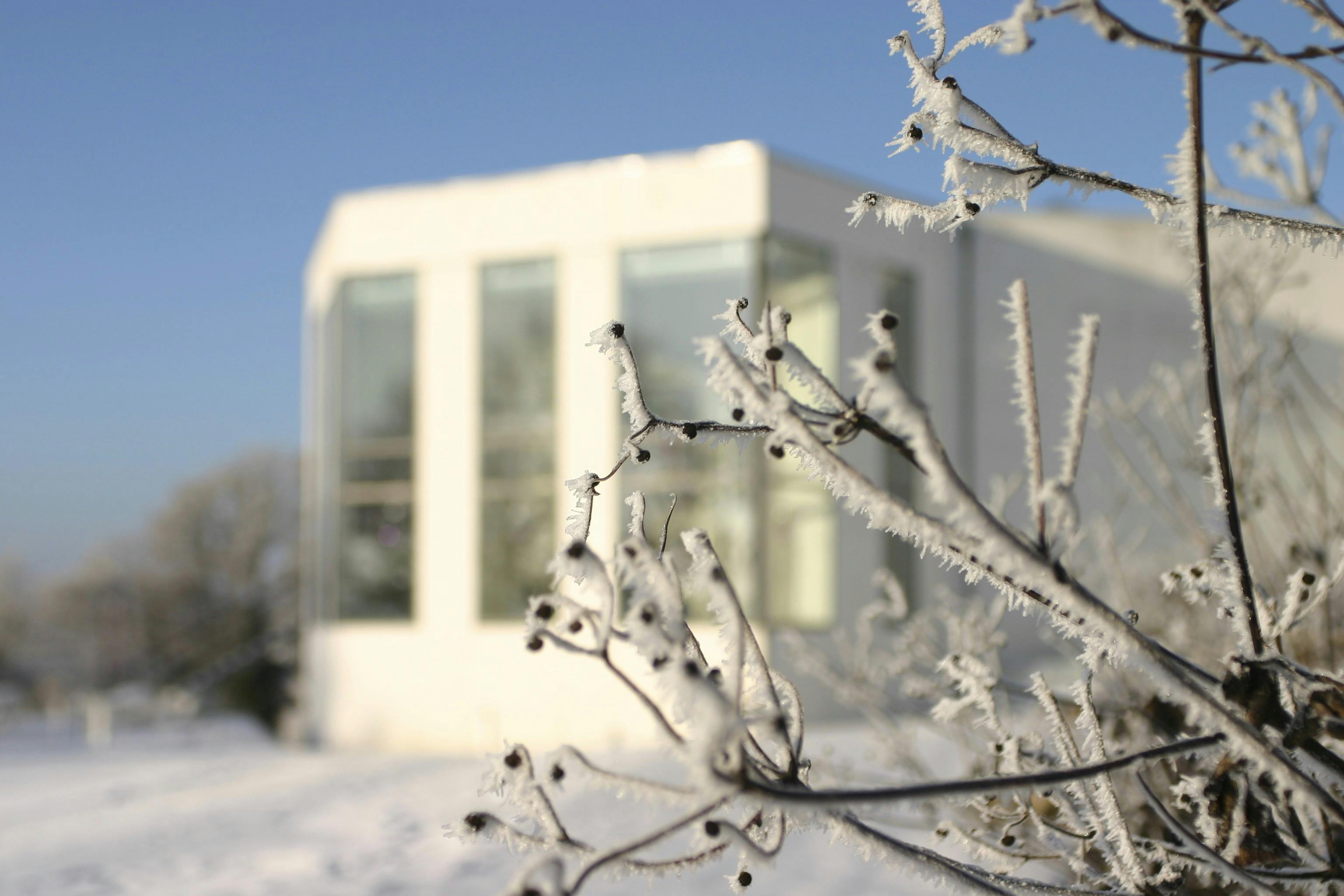 Julemarkeder 2025 femina