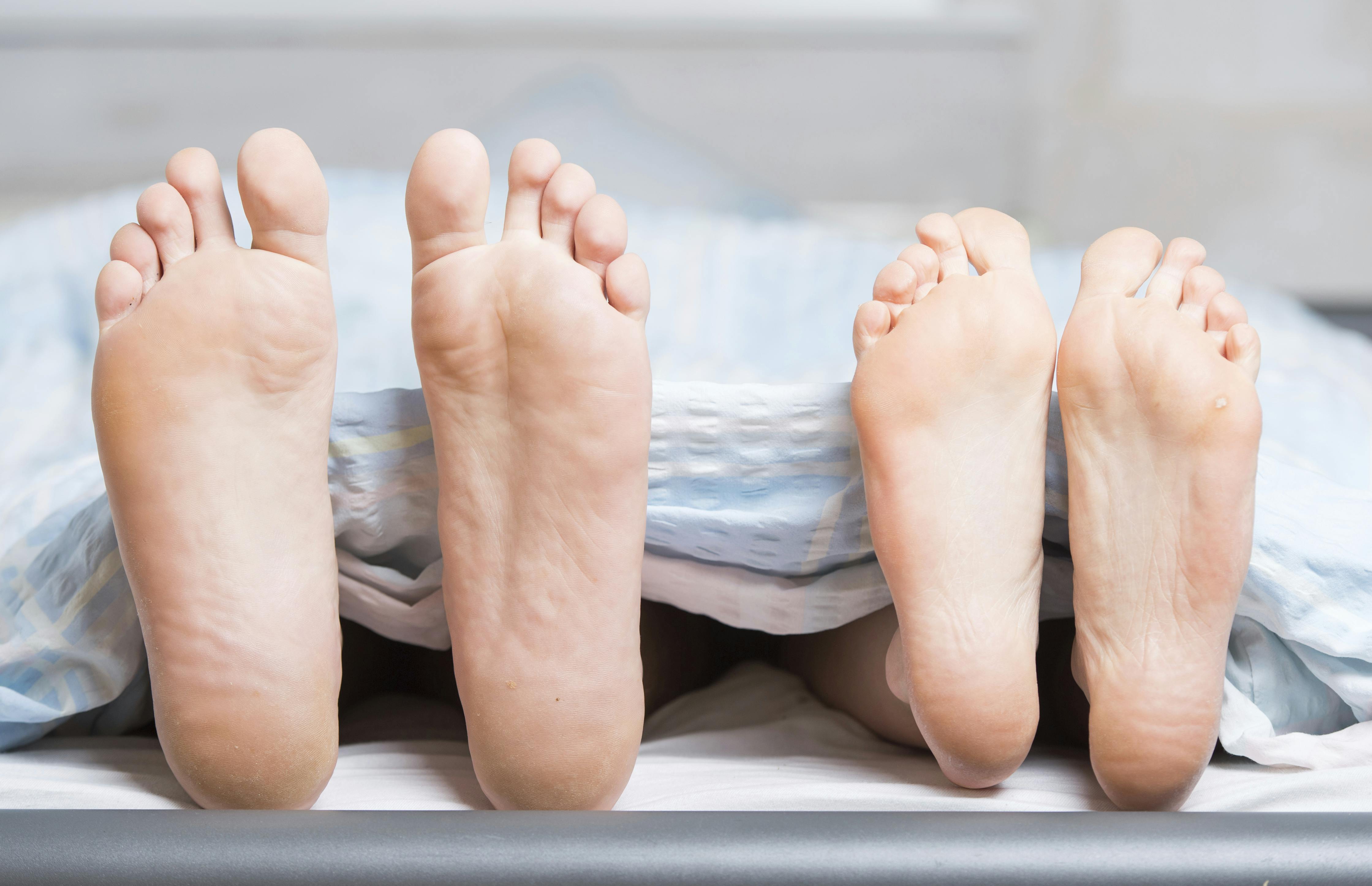 Den skandinaviske metode