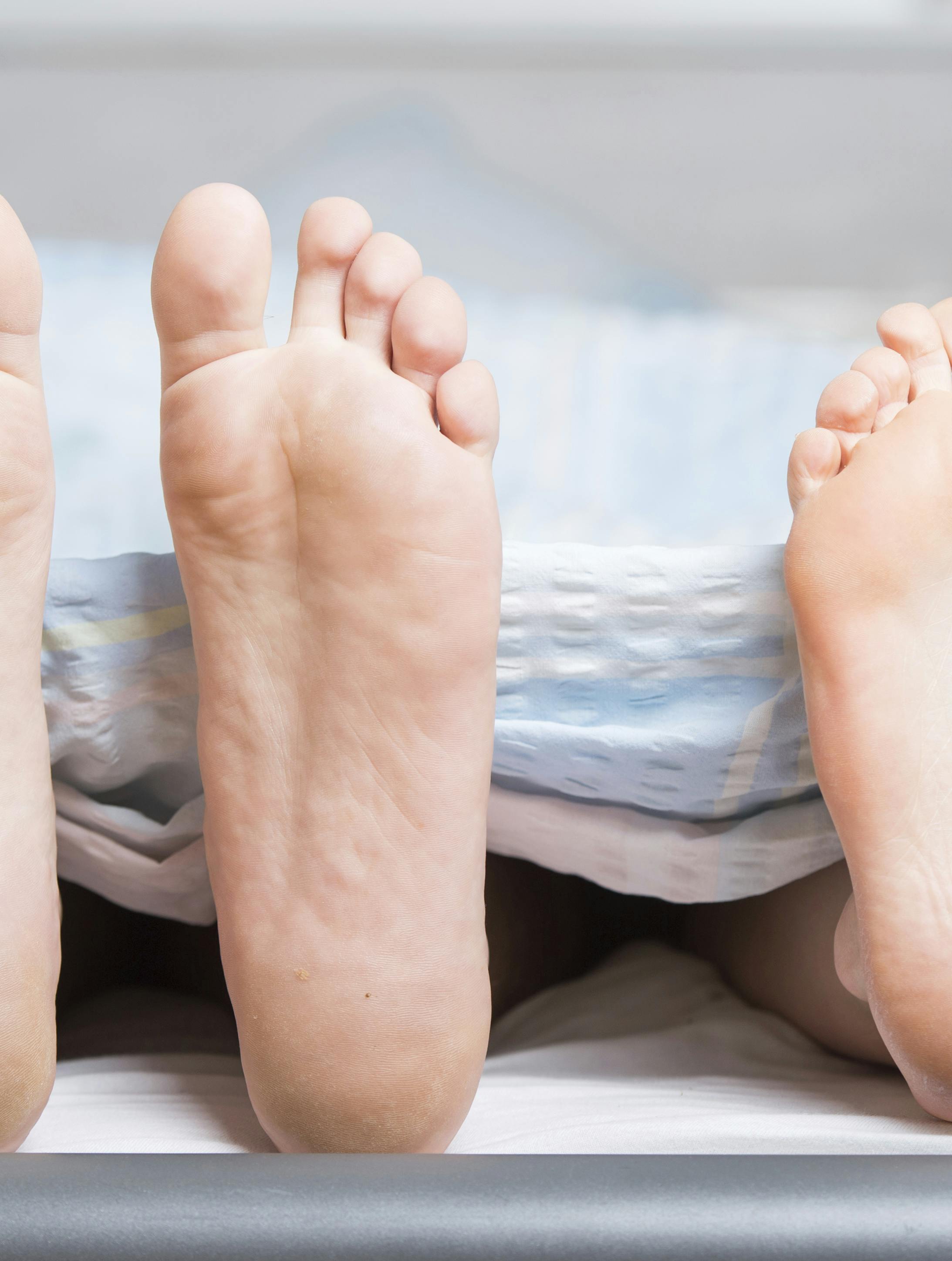 Den skandinaviske metode