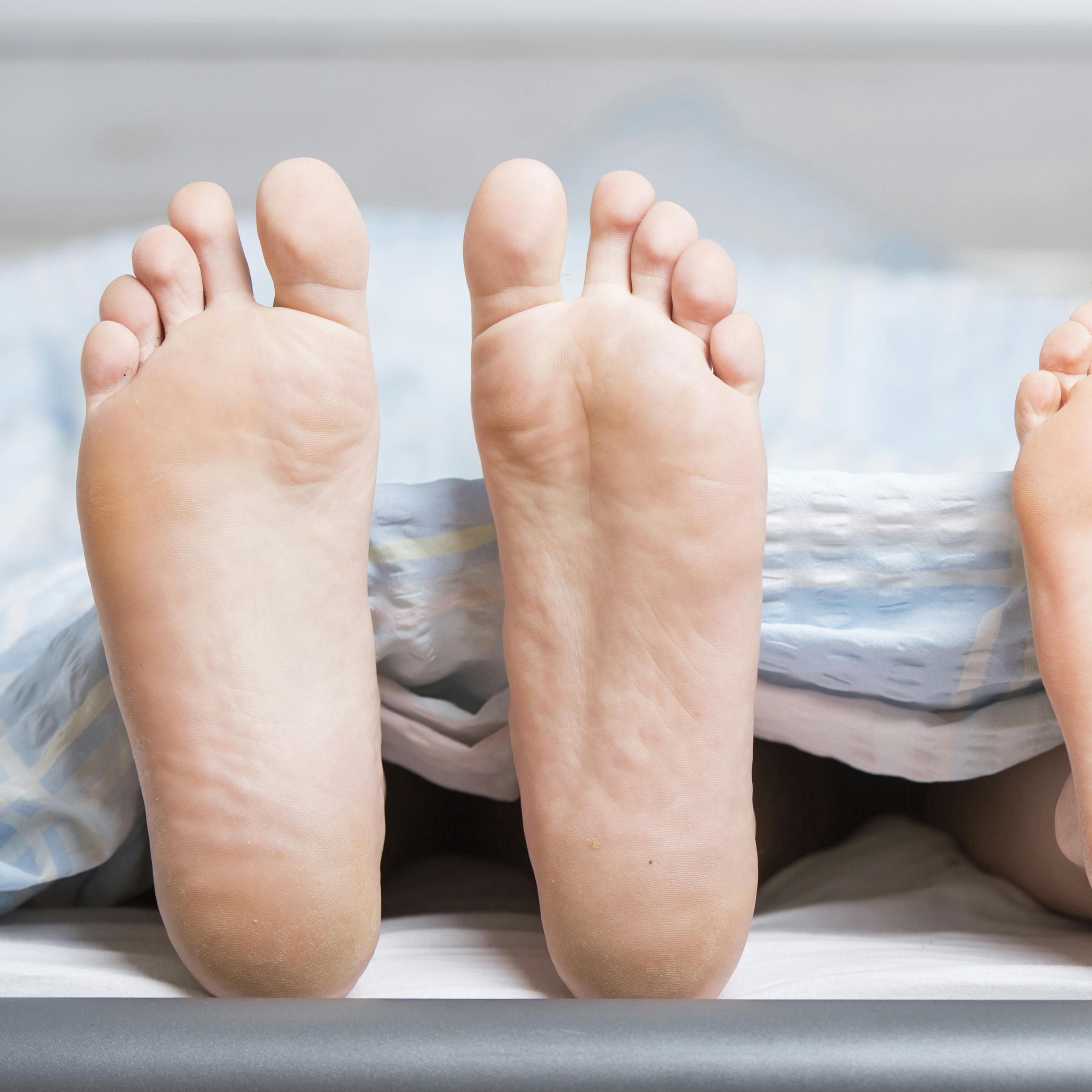 Den skandinaviske metode