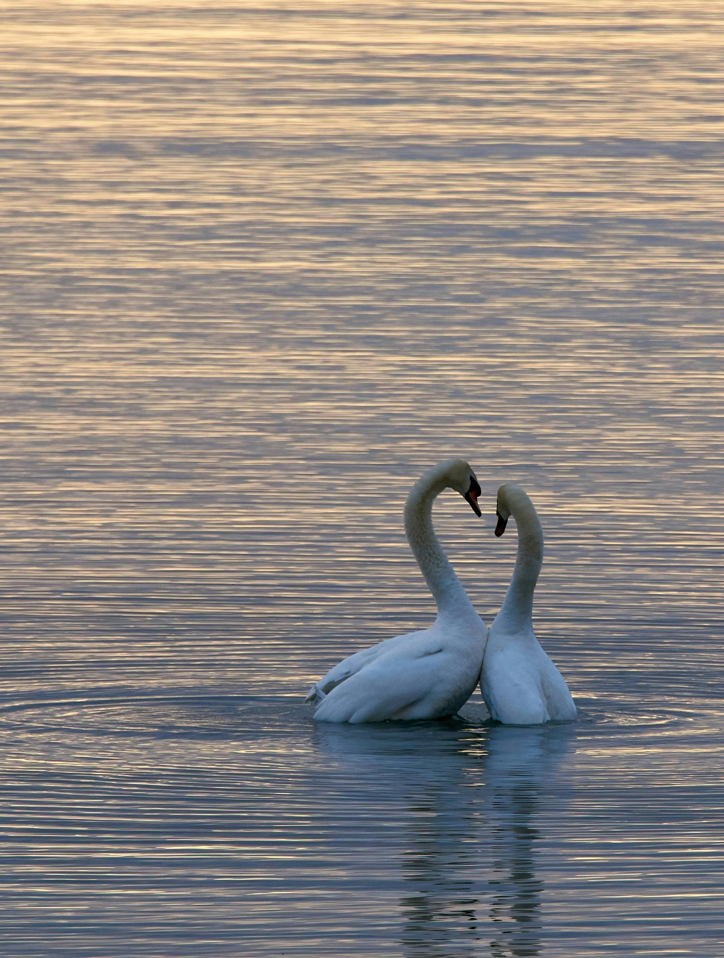 Dating-året 2025: Vi er blevet trætte af bullshit – men især ét stjernetegn fik mange matches