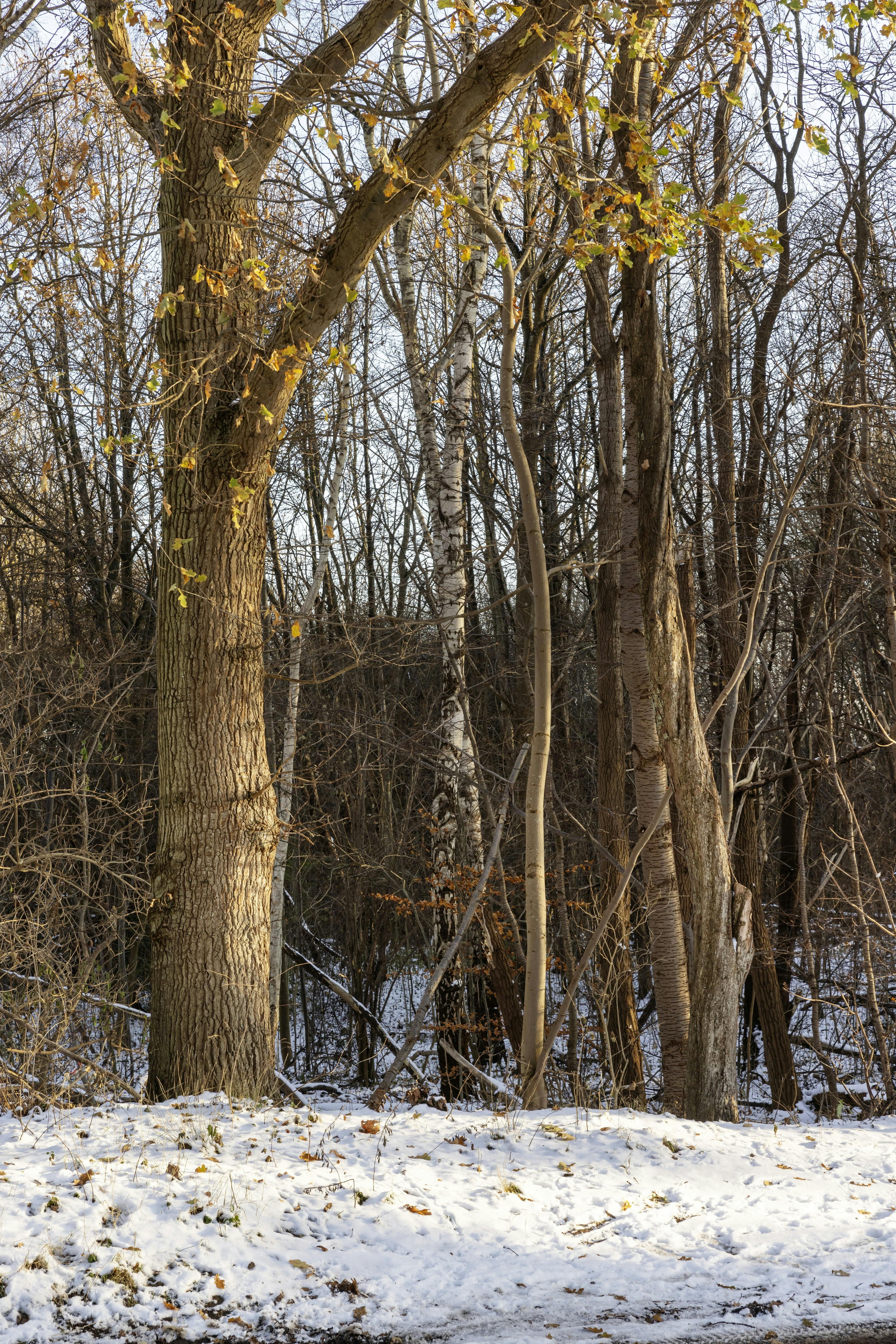 boligreportage Caroline Birk Bahrenscheer