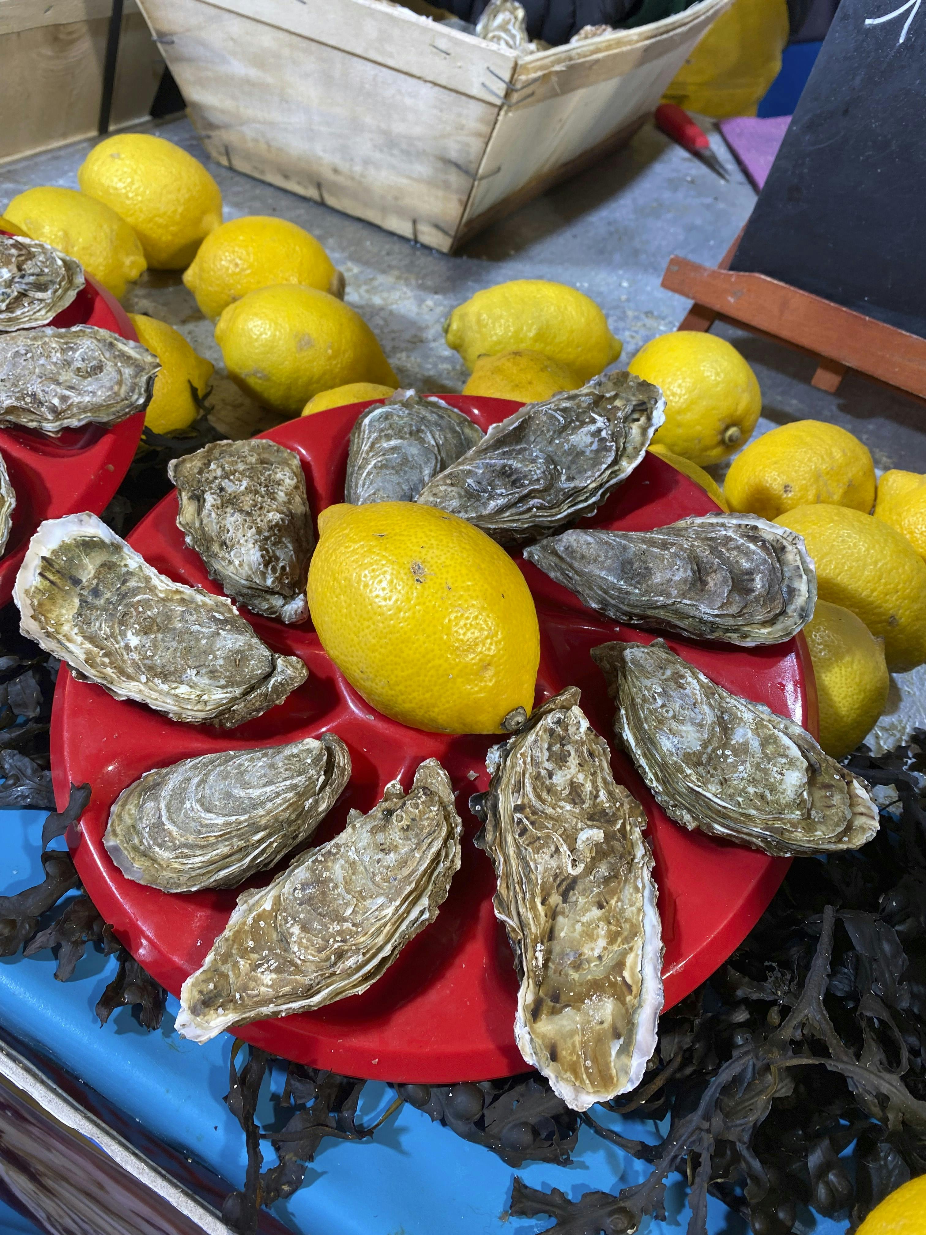 Rejseguide, paris til jul og nytår