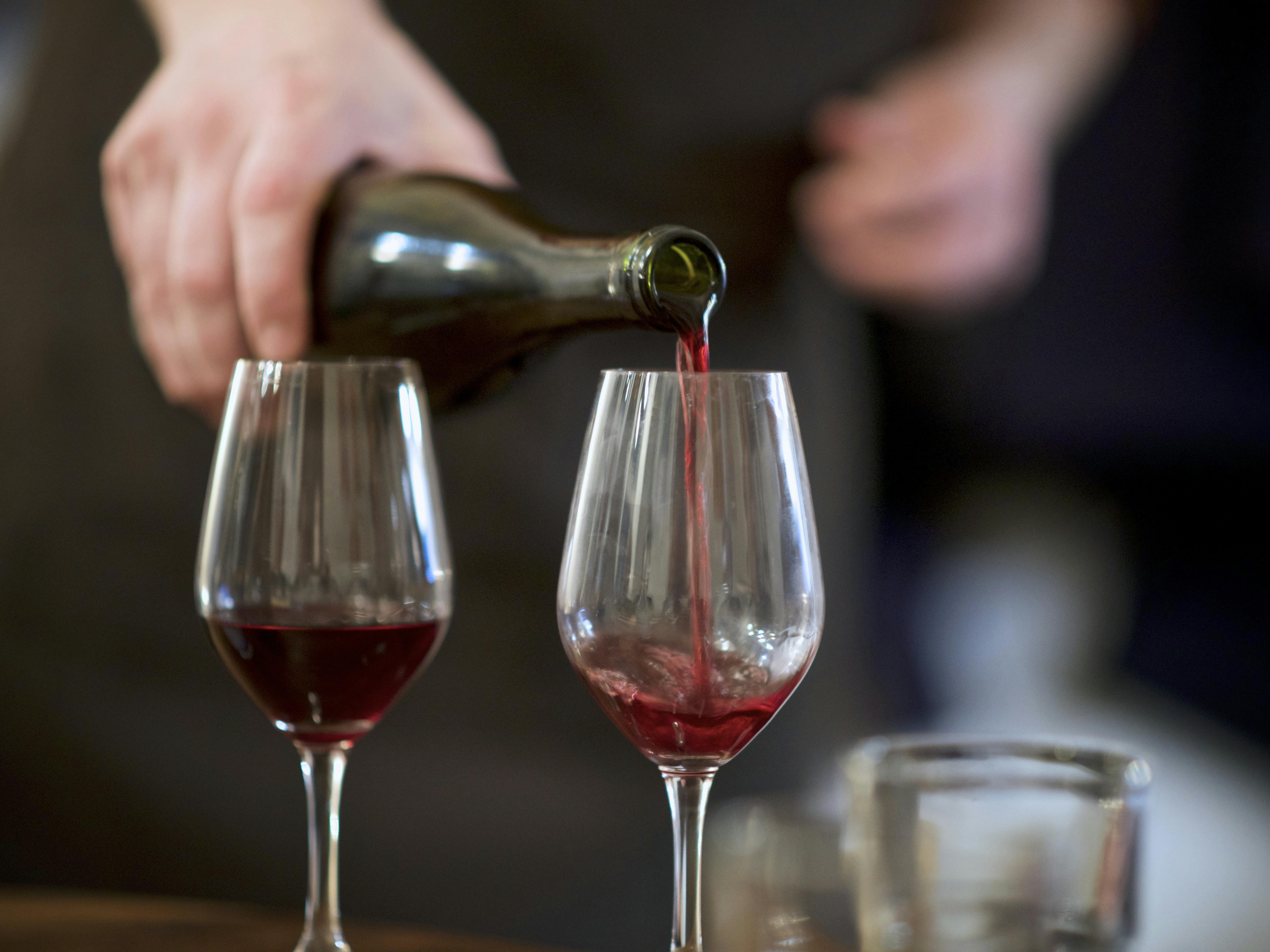 bog anbefalinger, sobor curious