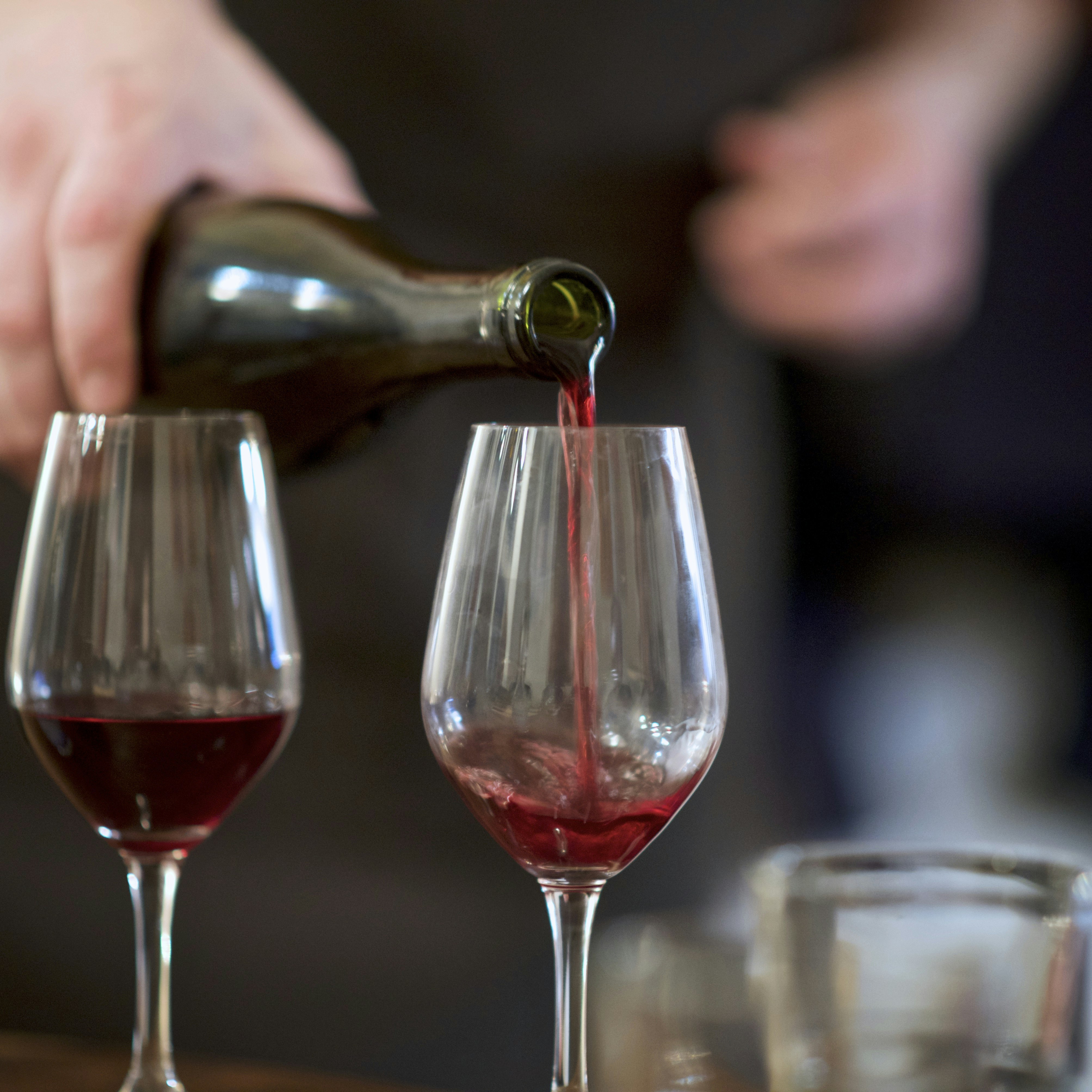 bog anbefalinger, sobor curious