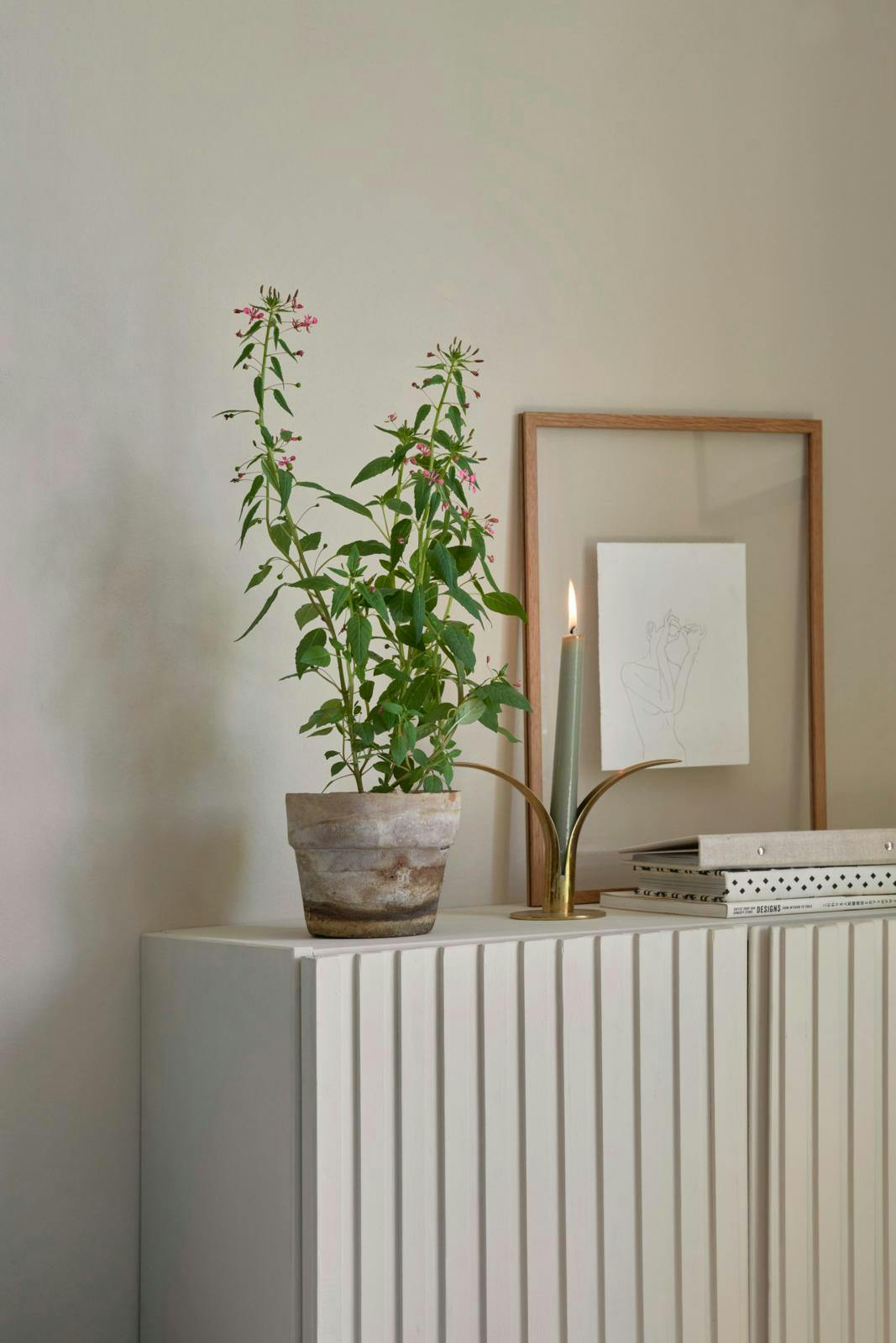 Grønne hit til boligen