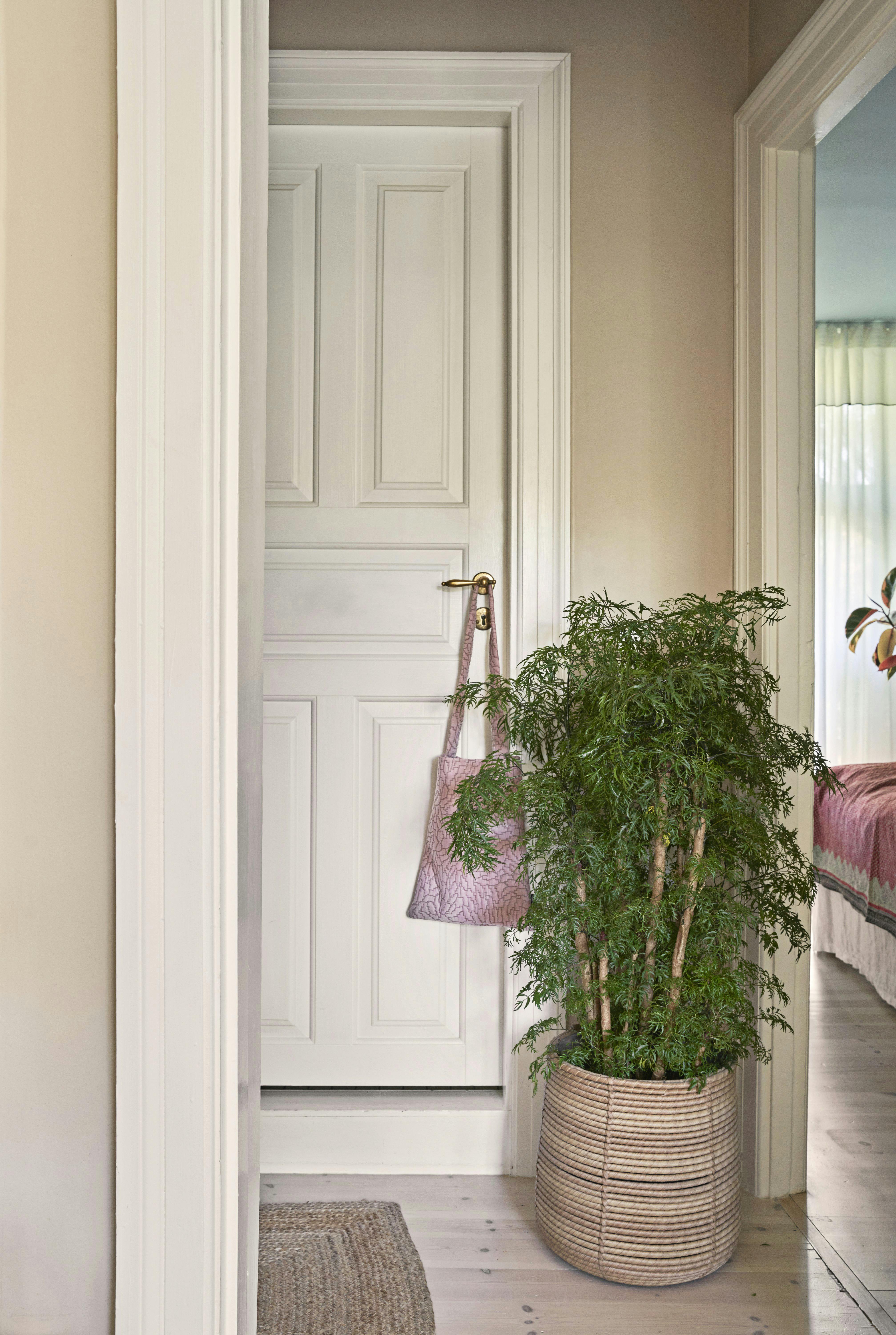 Grønne hit til boligen