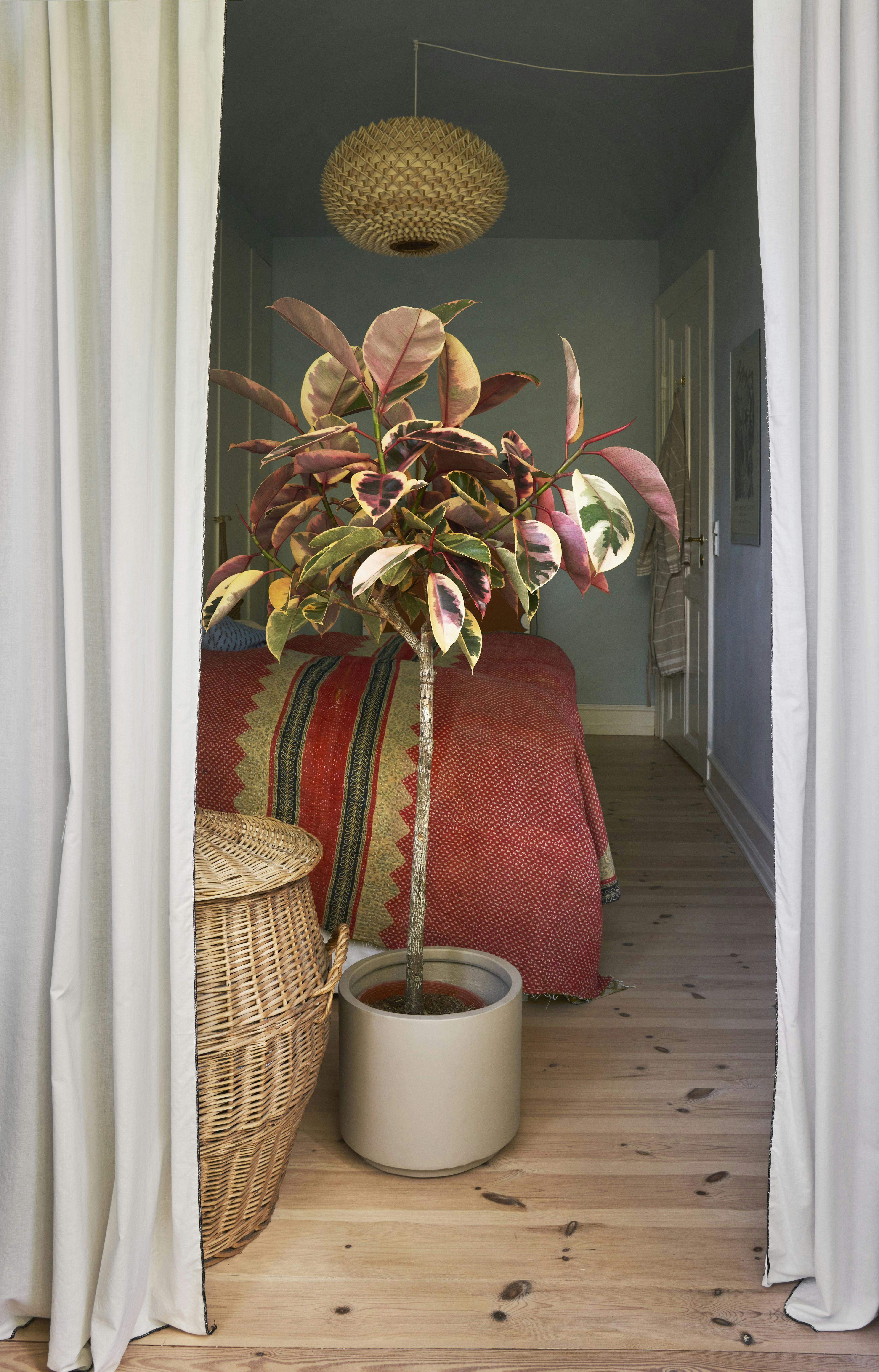 Grønne hit til boligen