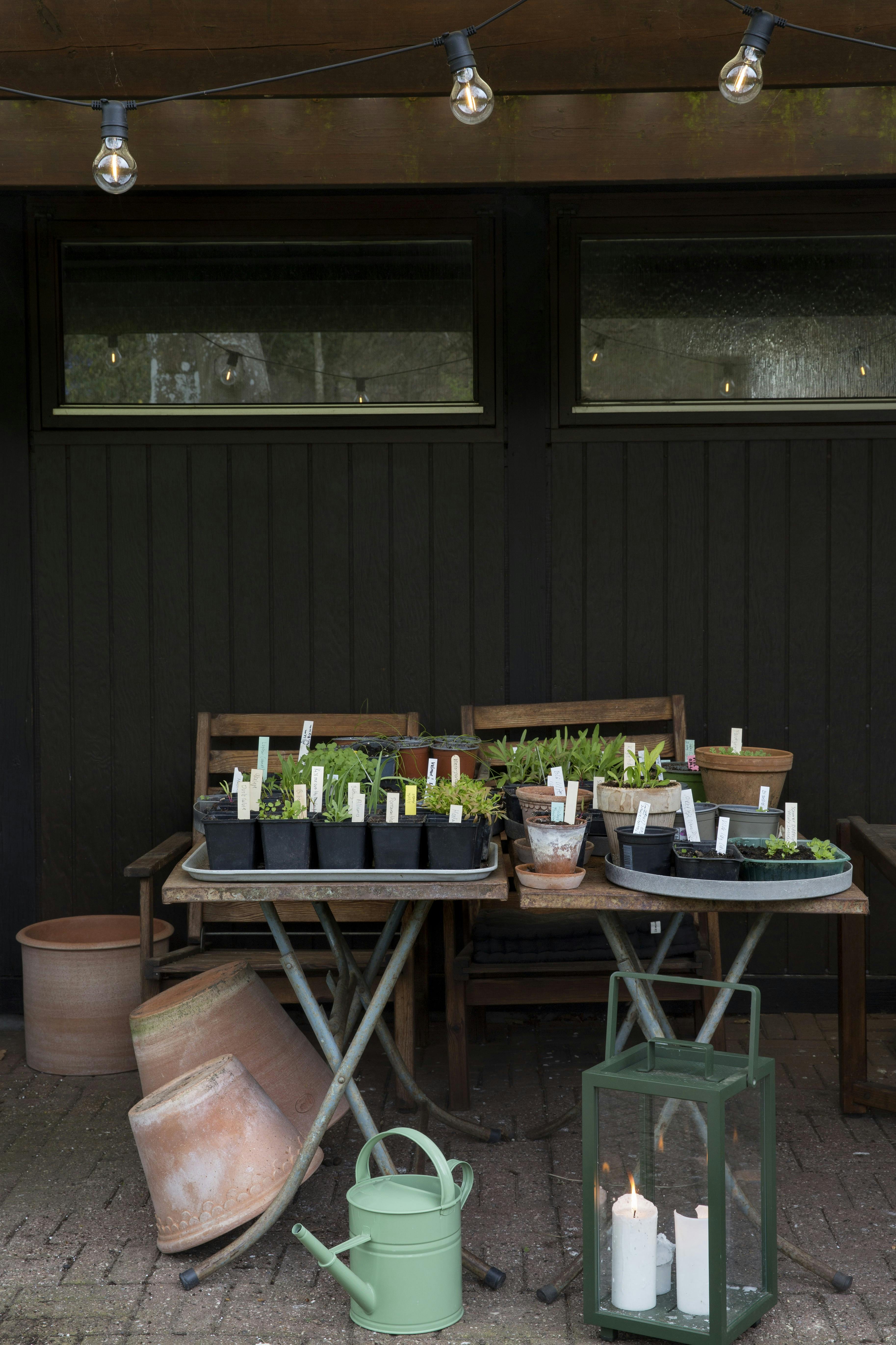 forspriring, så til sommeren allerede nu