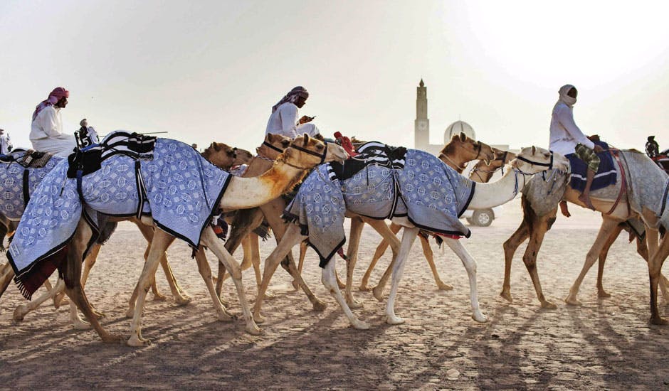 https://imgix.femina.dk/dubai-camelridning.jpg