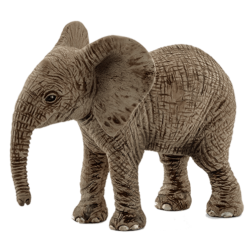 elefant