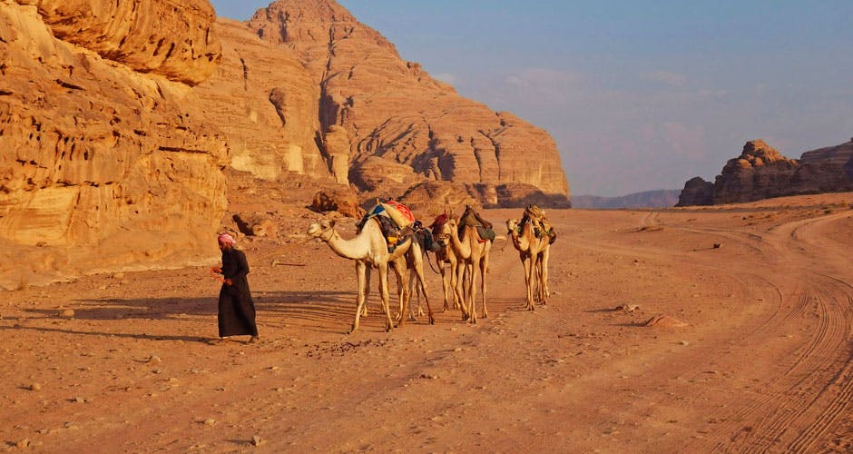 https://imgix.femina.dk/jordan-6-kameler-ny.jpg