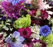 dyrk blomster
