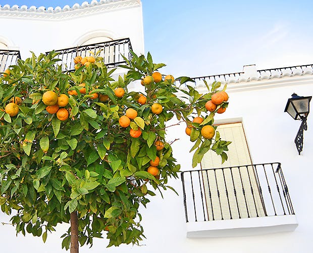 https://imgix.femina.dk/madogbolig/andalusien.jpg