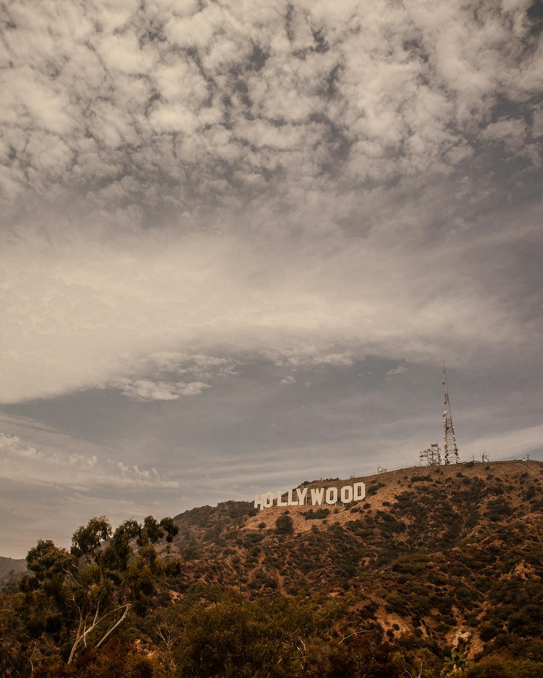Hollywood skiltet 