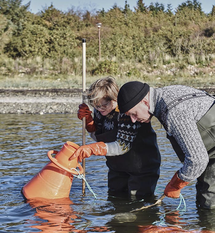 Østerssafari i Limfjorden