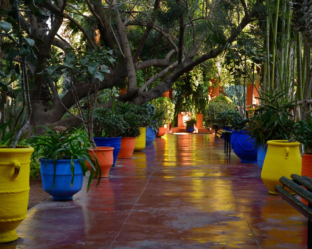 https://imgix.femina.dk/madogbolig/marrakech_yves_saint_laurents_haver_foto_aop.jpg
