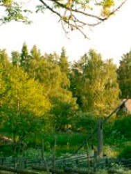 https://imgix.femina.dk/madogbolig/media/3b4410892cc14545939c7922178e42b3.jpg