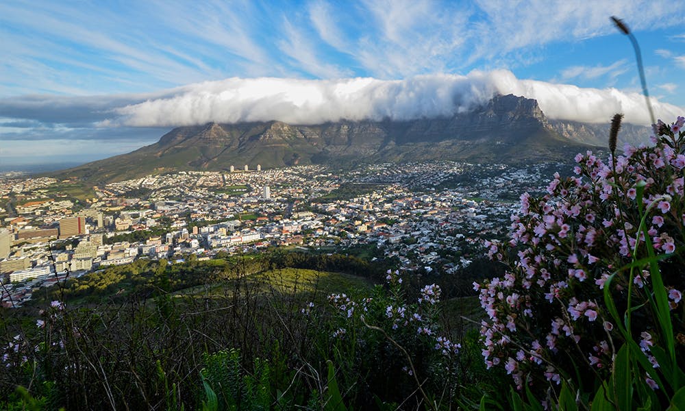 Table Mountain