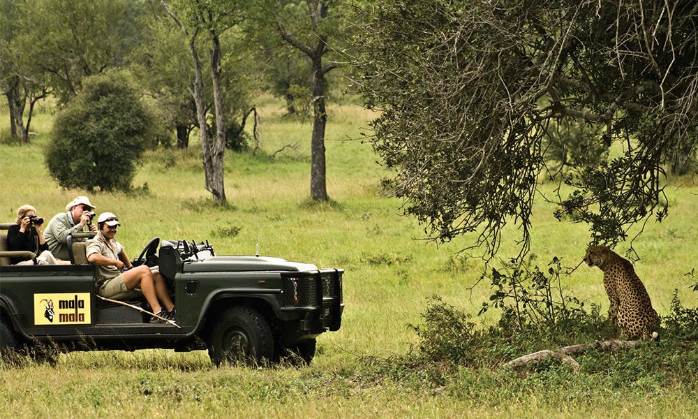 Safari i Sydafrika