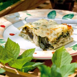 Lasagne med skvalderkål