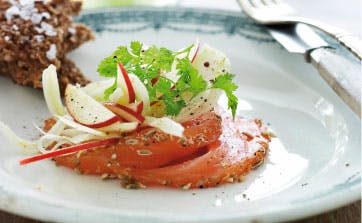 Sukkersaltet laks med koriander og fennikelfrø