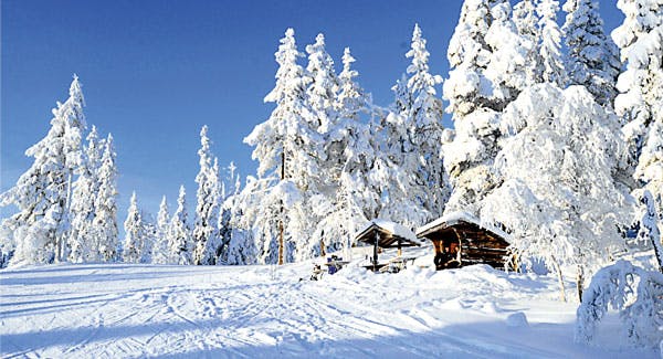 https://imgix.femina.dk/media/6dde011d0a3340d5bf76a6577deaf68b.jpg
