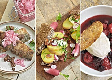 Det nordiske køkken