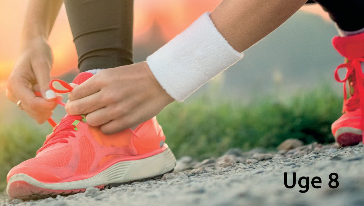 Løbeprogram for nybegyndere - uge 8