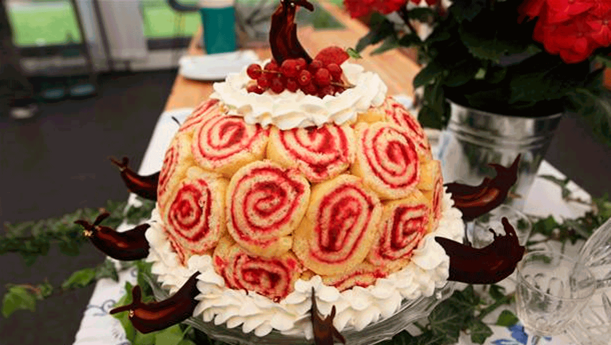 Charlottekage med ribsgele og stikkelsbærfromage