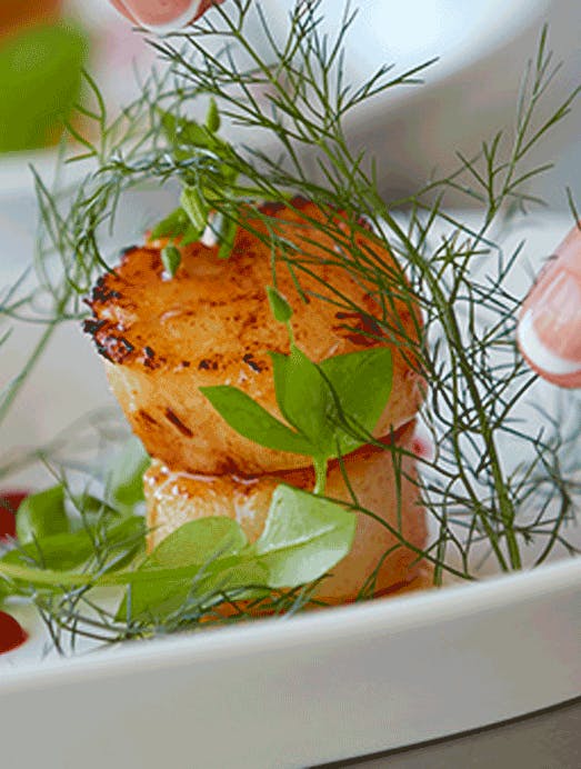 Ristede Kammuslinger