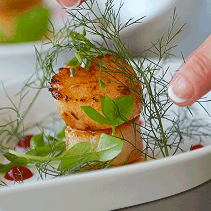 Ristede Kammuslinger