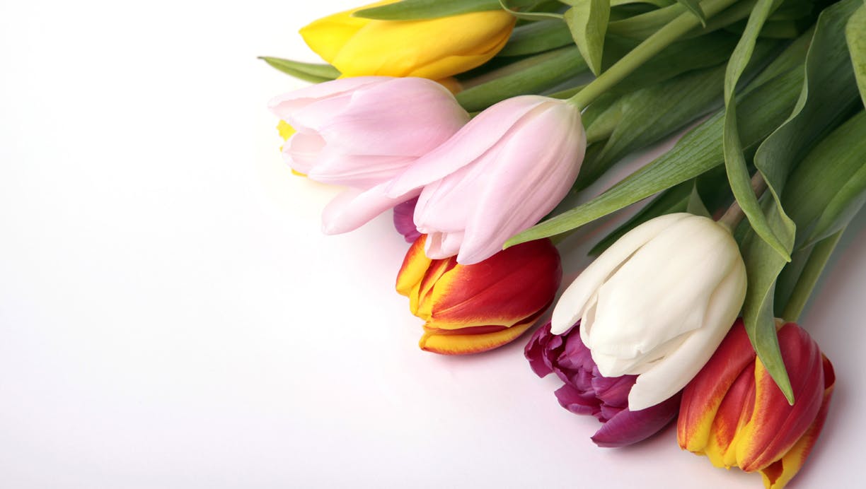 blomster